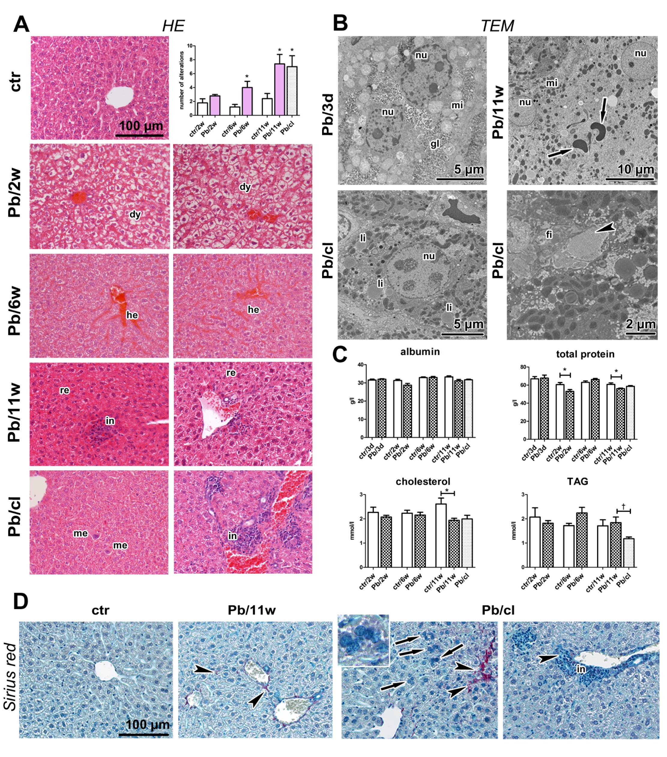 Ijms 21 08738 g006 Ijms 21 08738 g006