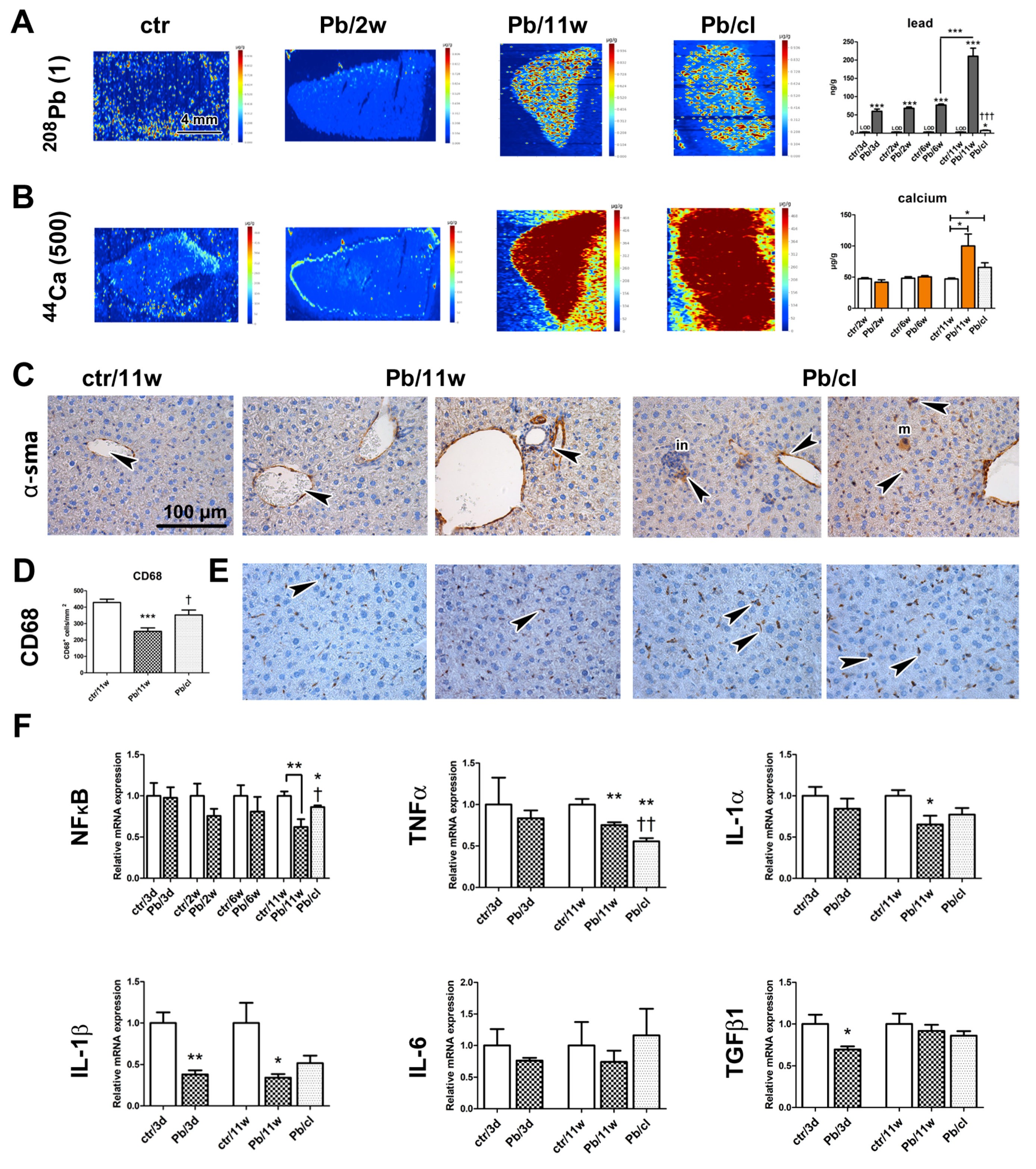 Ijms 21 08738 g007 Ijms 21 08738 g007
