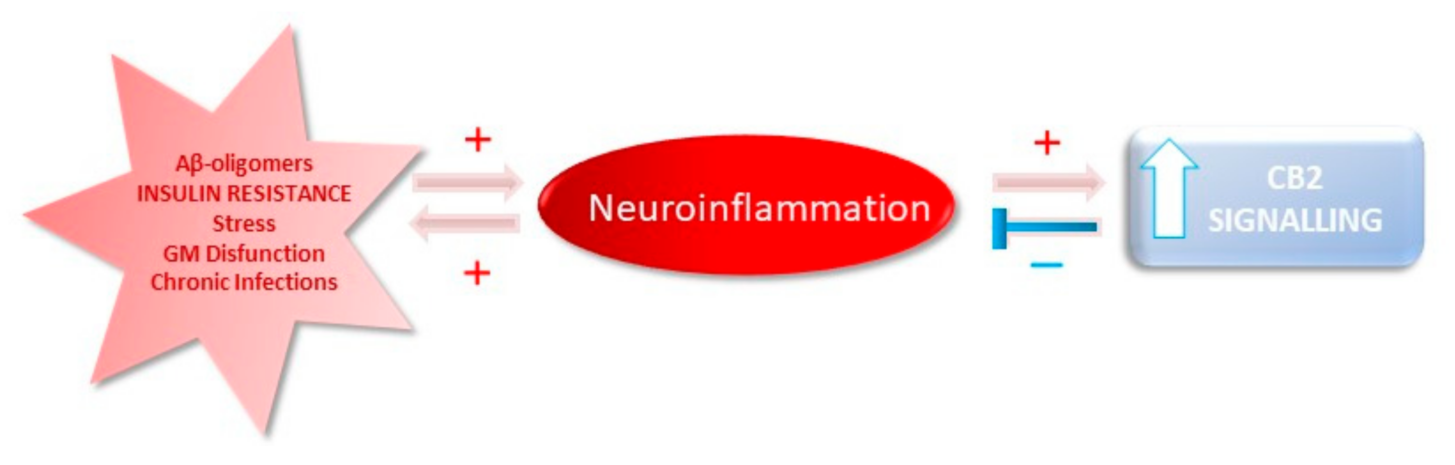 Ijms 21 08751 g003 Ijms 21 08751 g003