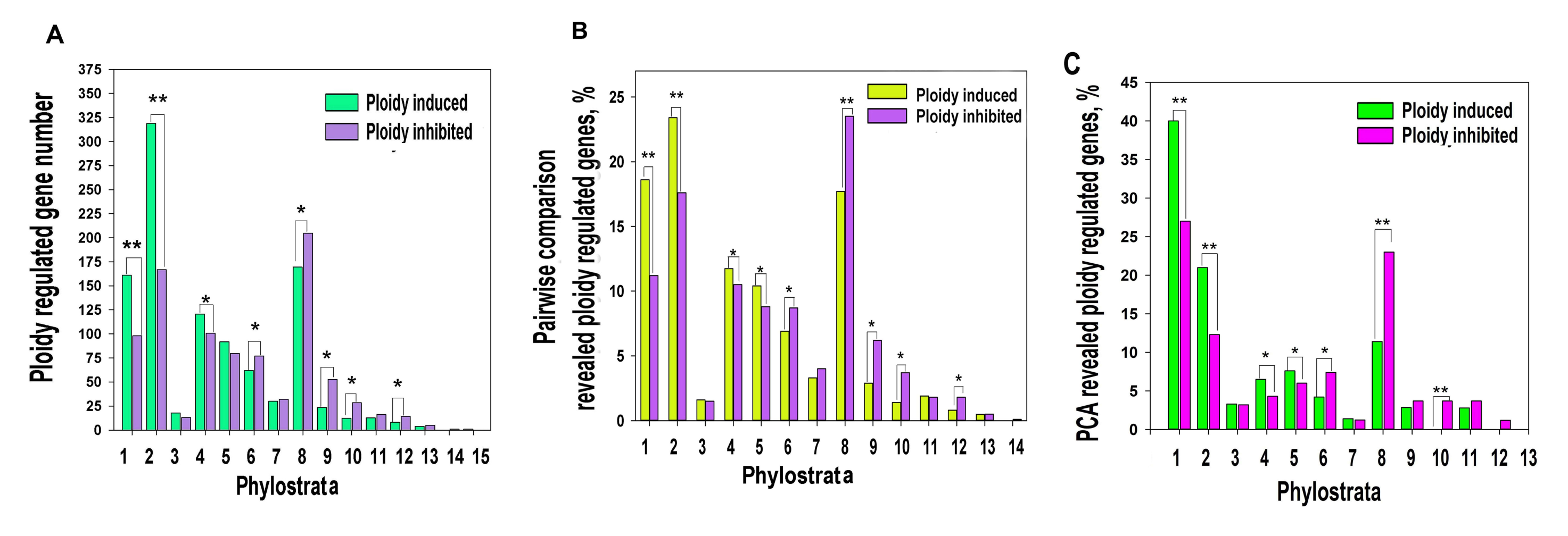 Ijms 21 08759 g001 Ijms 21 08759 g001