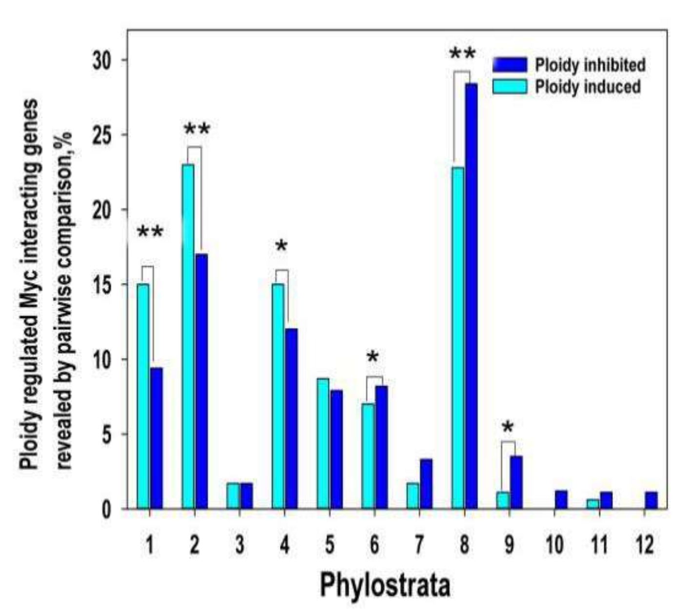 Ijms 21 08759 g002 Ijms 21 08759 g002