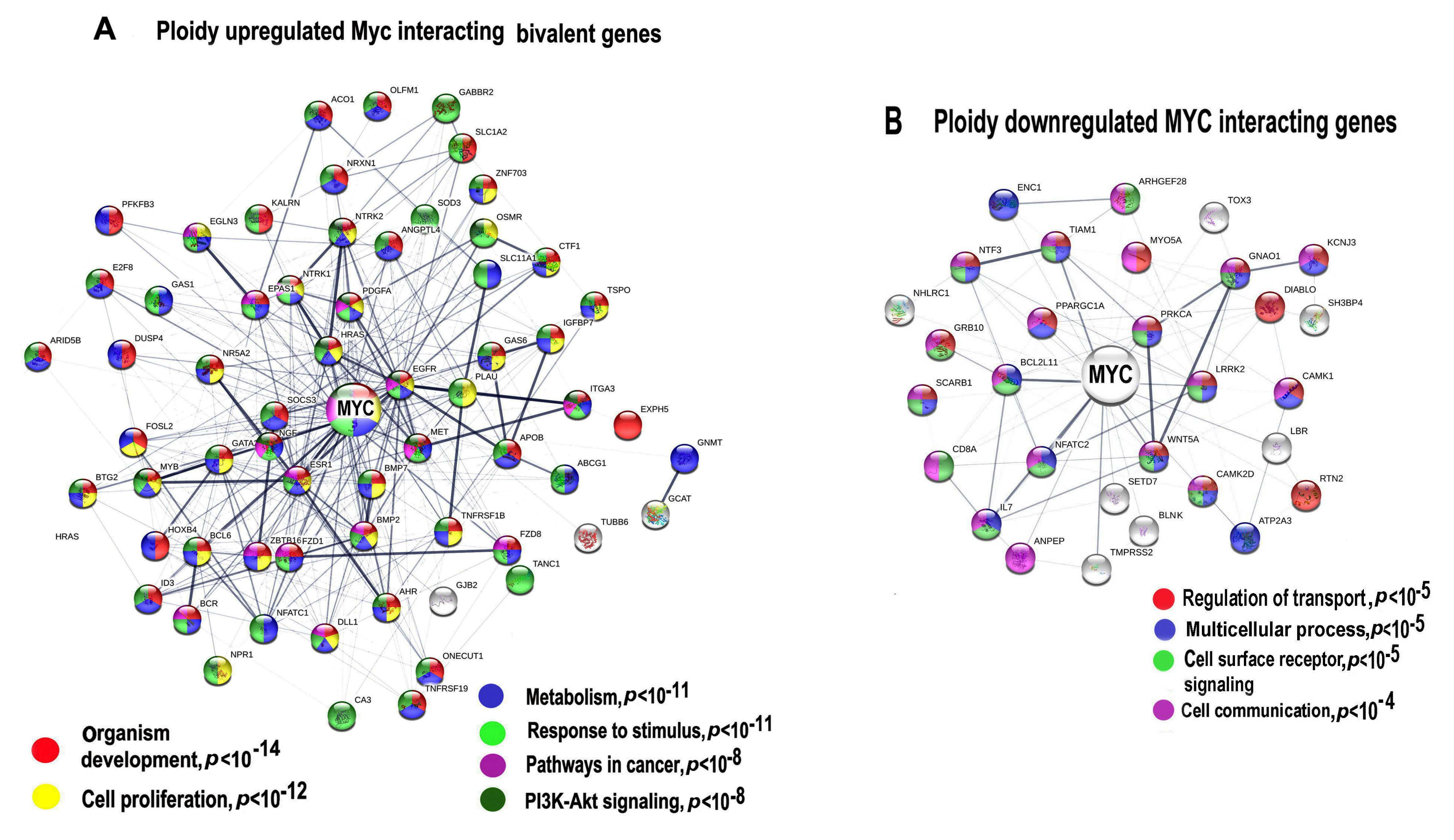 Ijms 21 08759 g003 Ijms 21 08759 g003