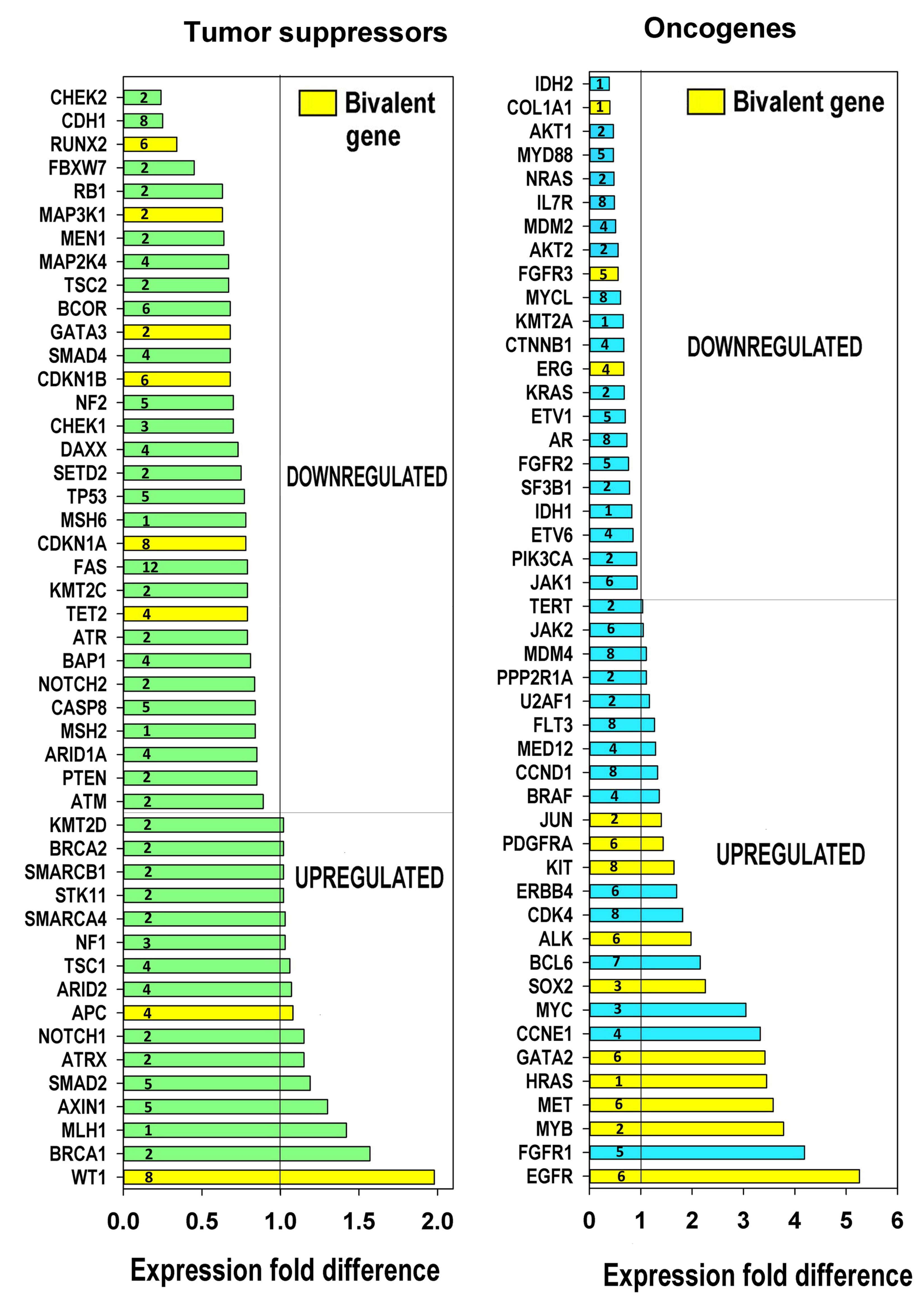 Ijms 21 08759 g006 Ijms 21 08759 g006