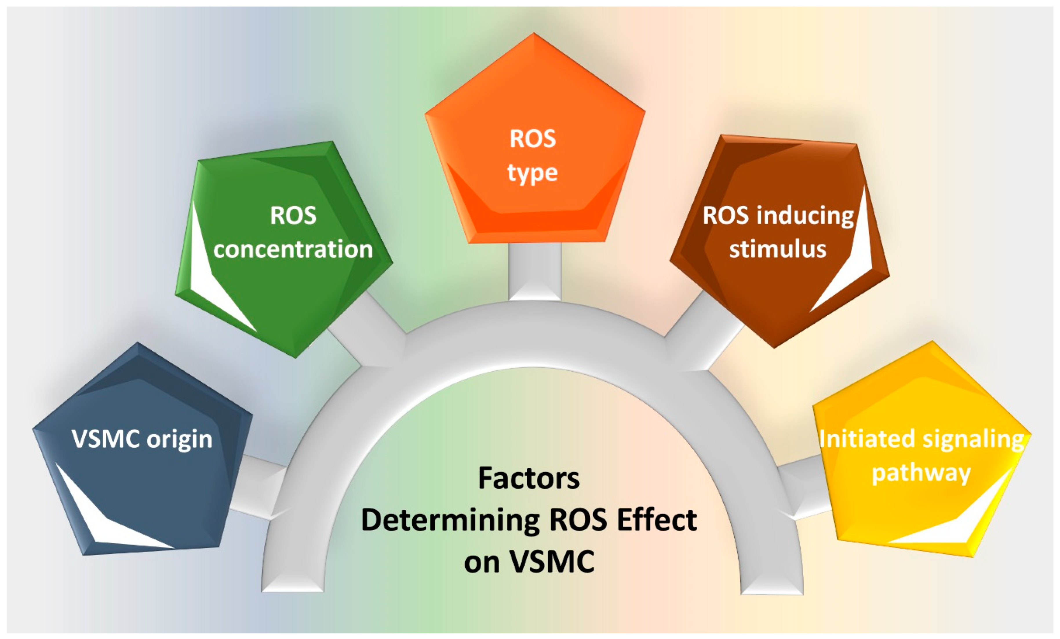 Ijms 21 08764 g004 Ijms 21 08764 g004