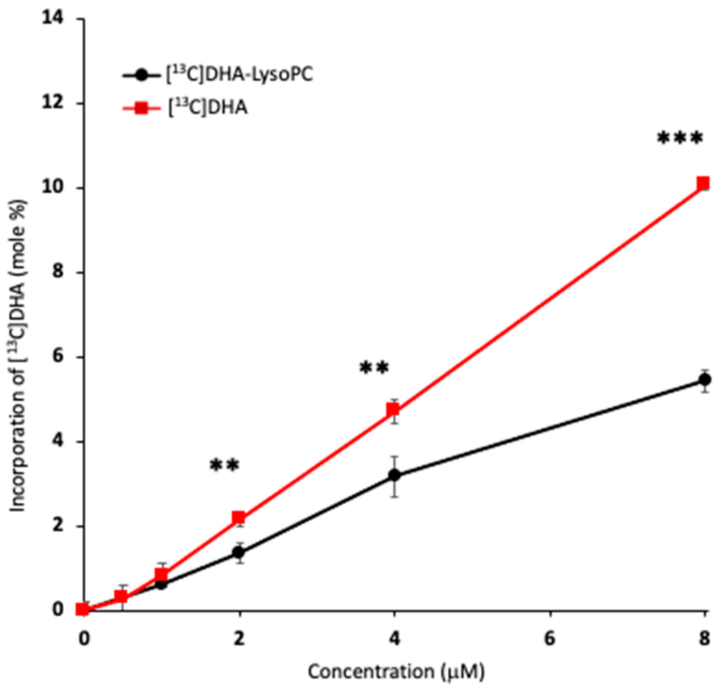 Ijms 21 08768 g003 Ijms 21 08768 g003