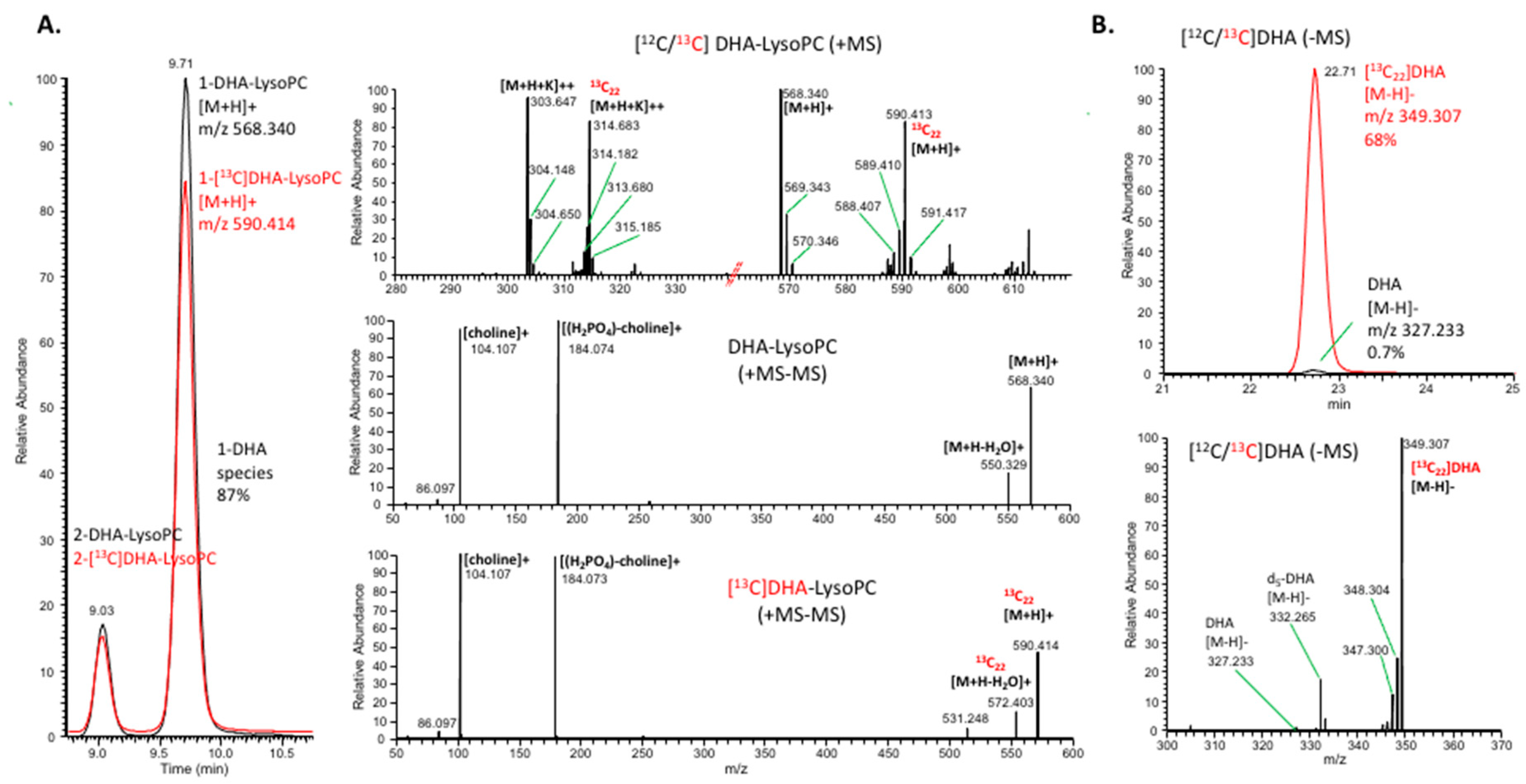 Ijms 21 08768 g007 Ijms 21 08768 g007