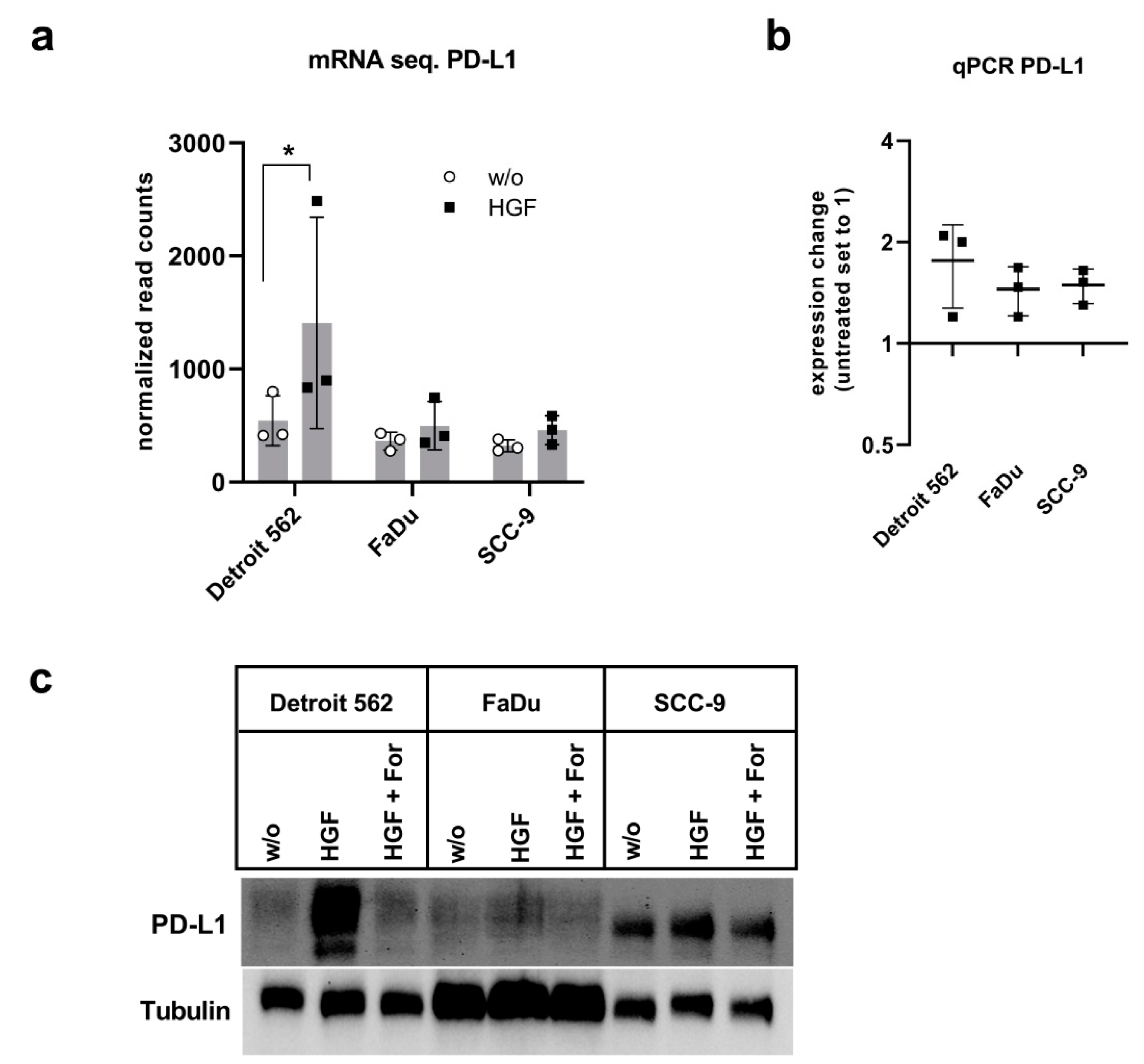 Ijms 21 08770 g001 Ijms 21 08770 g001