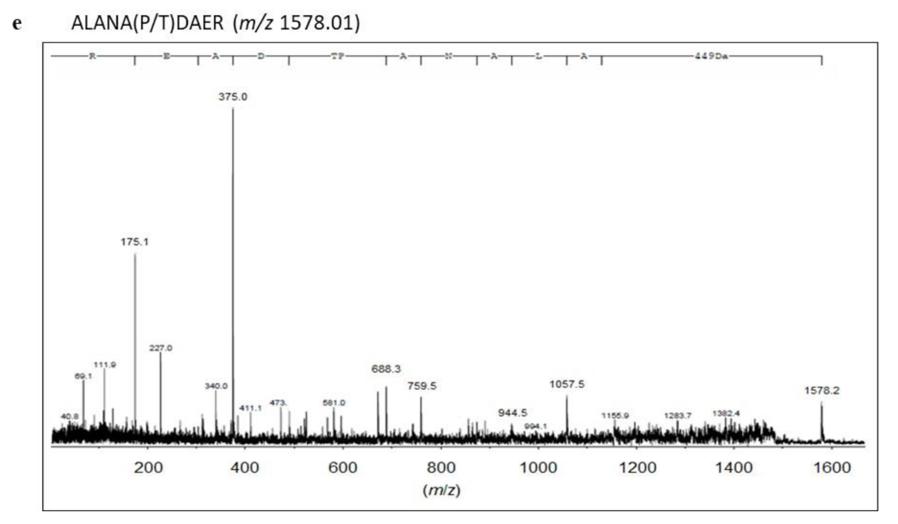 Ijms 21 08789 g003c Ijms 21 08789 g003c