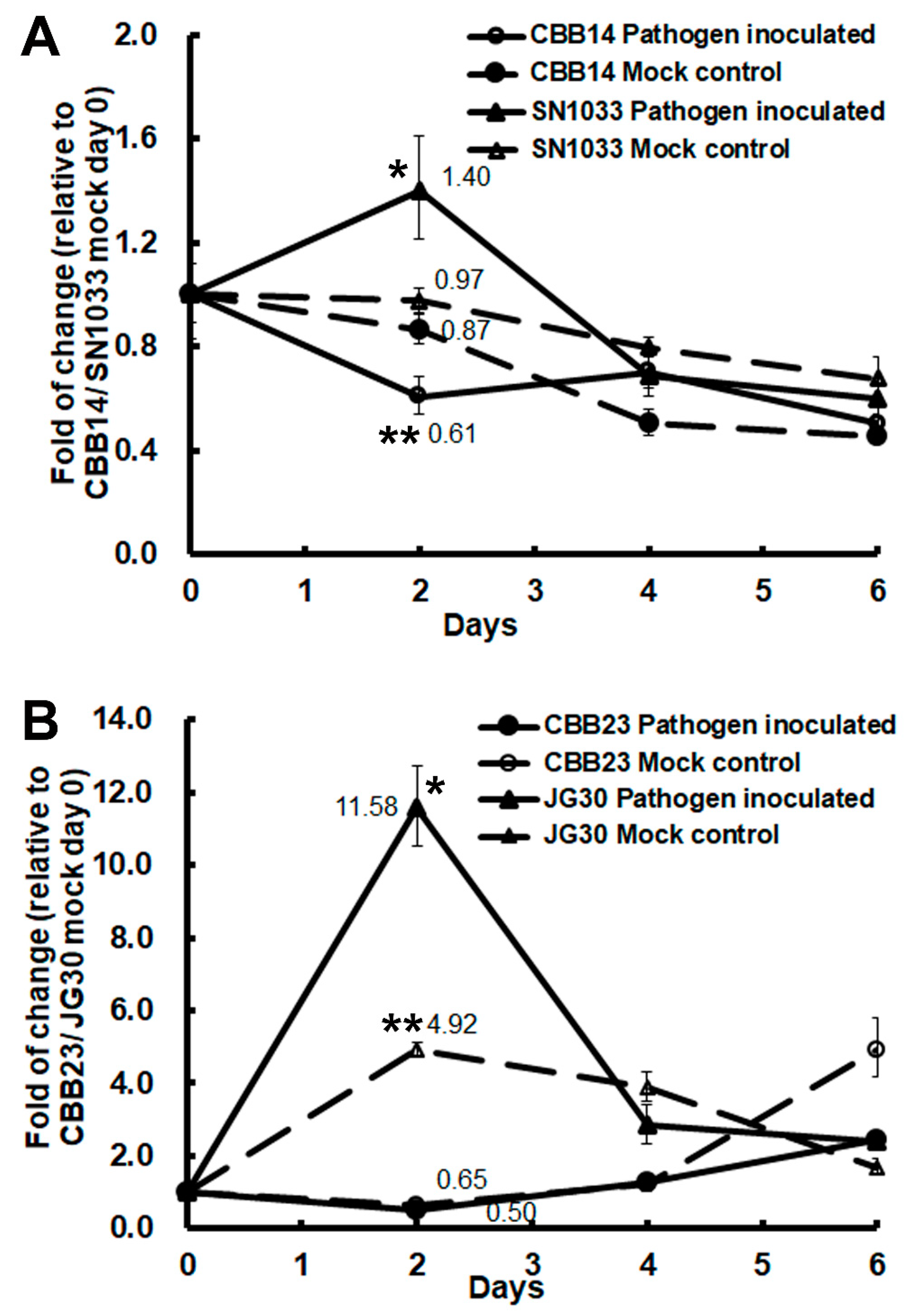 Ijms 21 08791 g002 Ijms 21 08791 g002