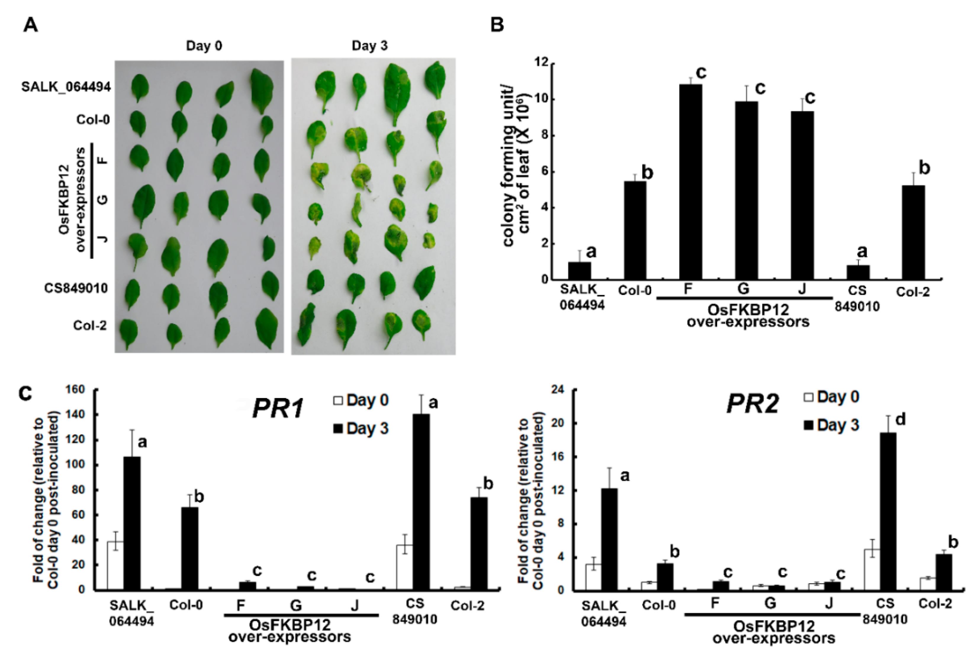 Ijms 21 08791 g003 Ijms 21 08791 g003