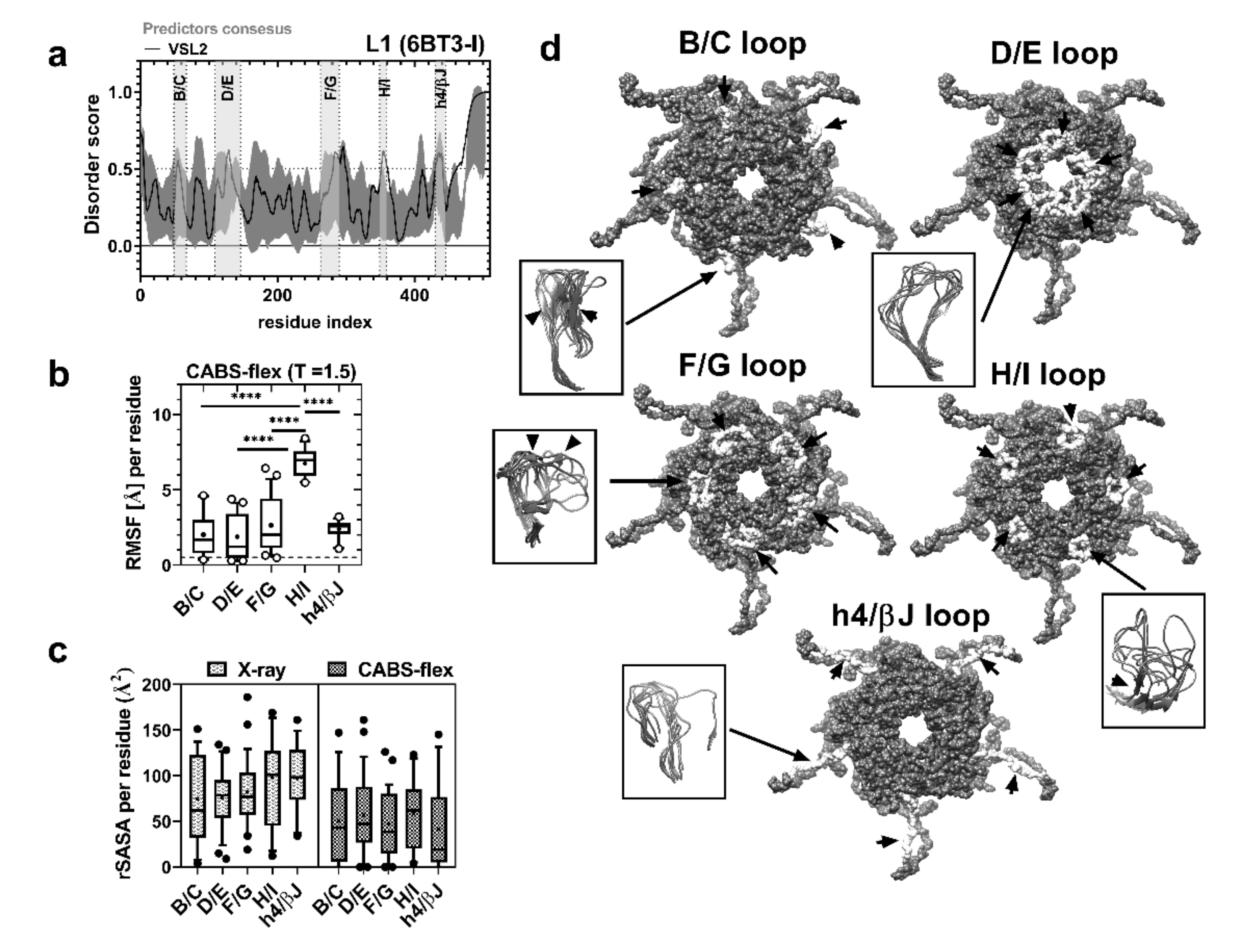 Ijms 21 08798 g002 Ijms 21 08798 g002