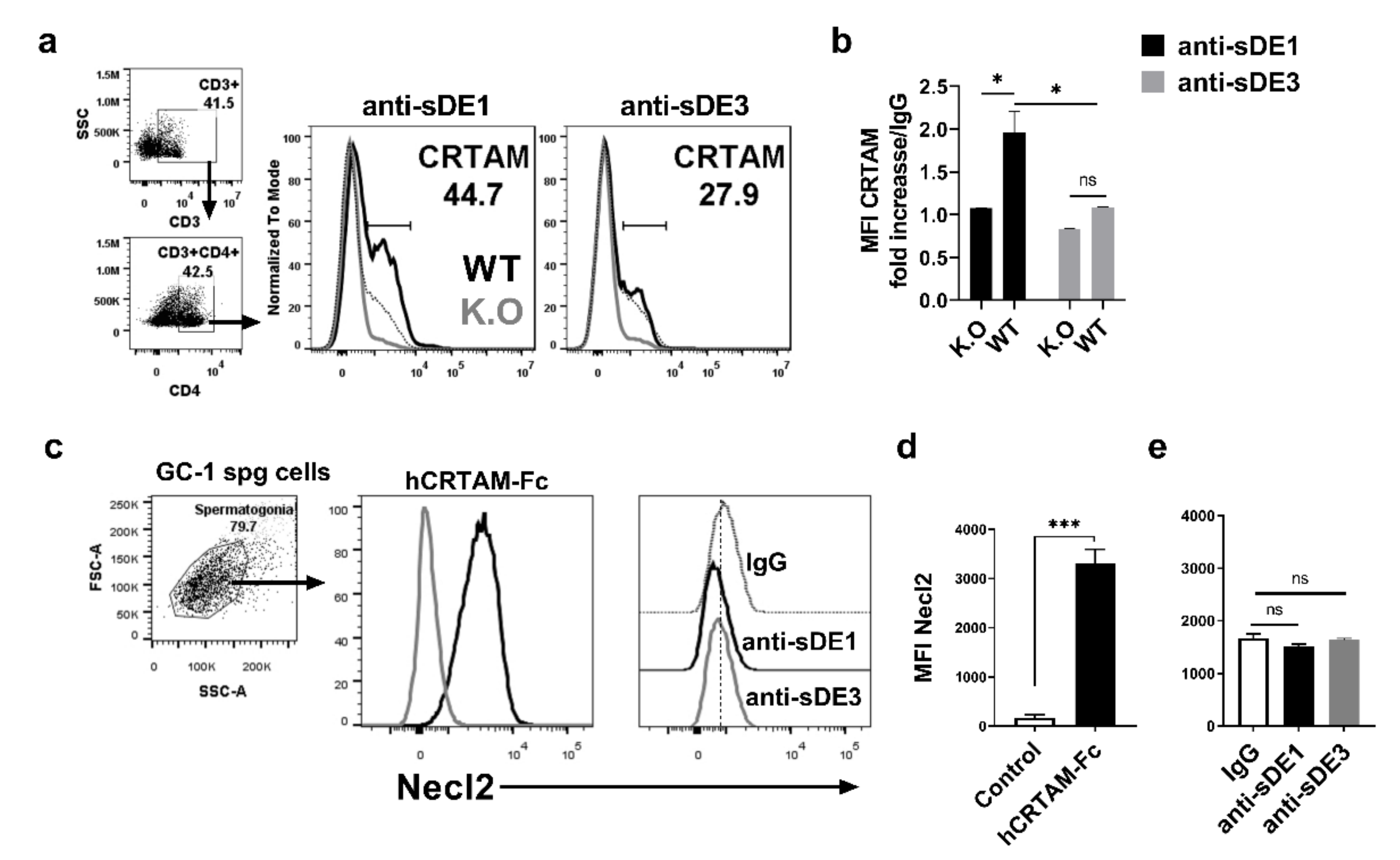 Ijms 21 08798 g005 Ijms 21 08798 g005