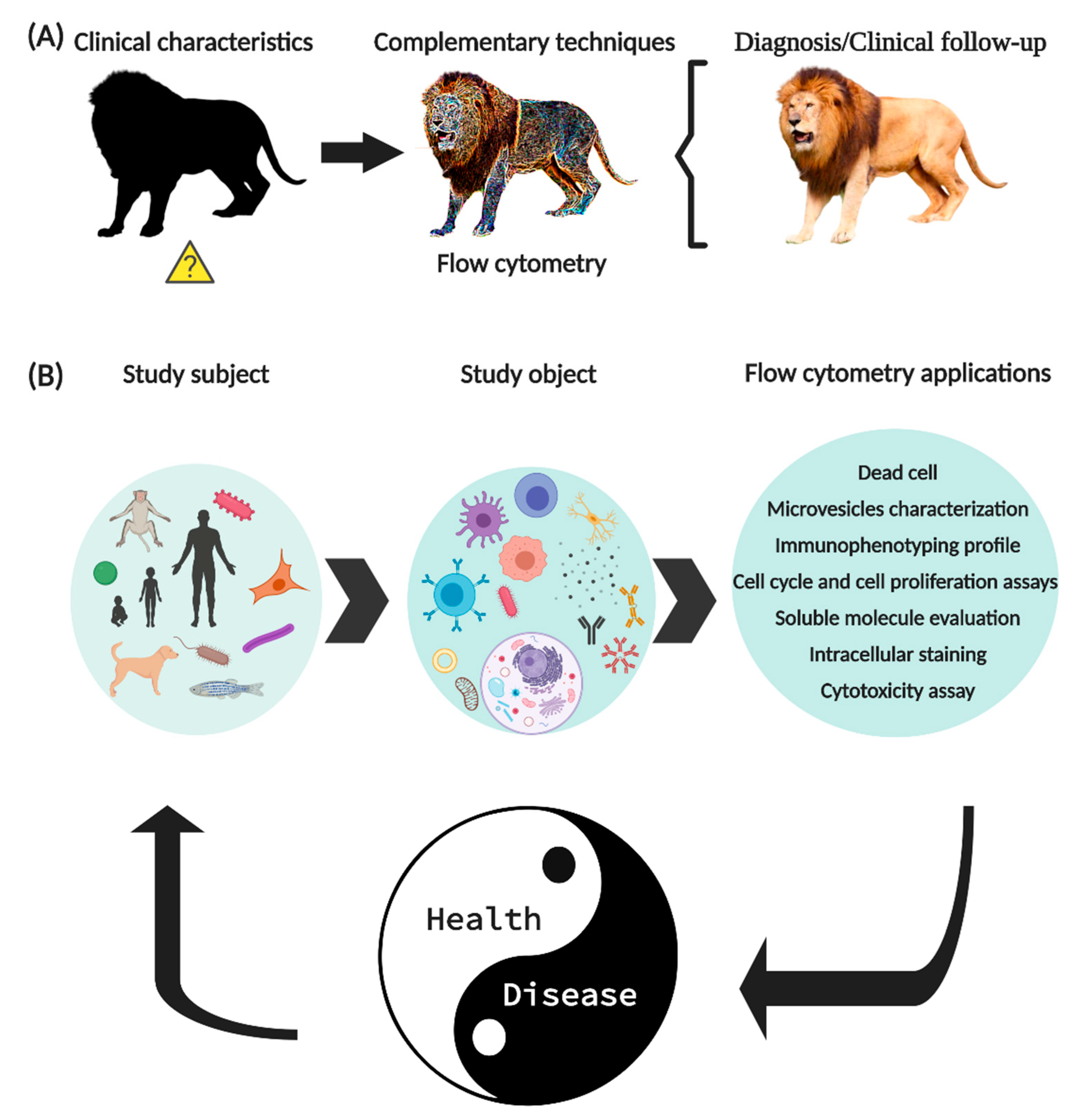 Ijms 21 08830 g001 Ijms 21 08830 g001