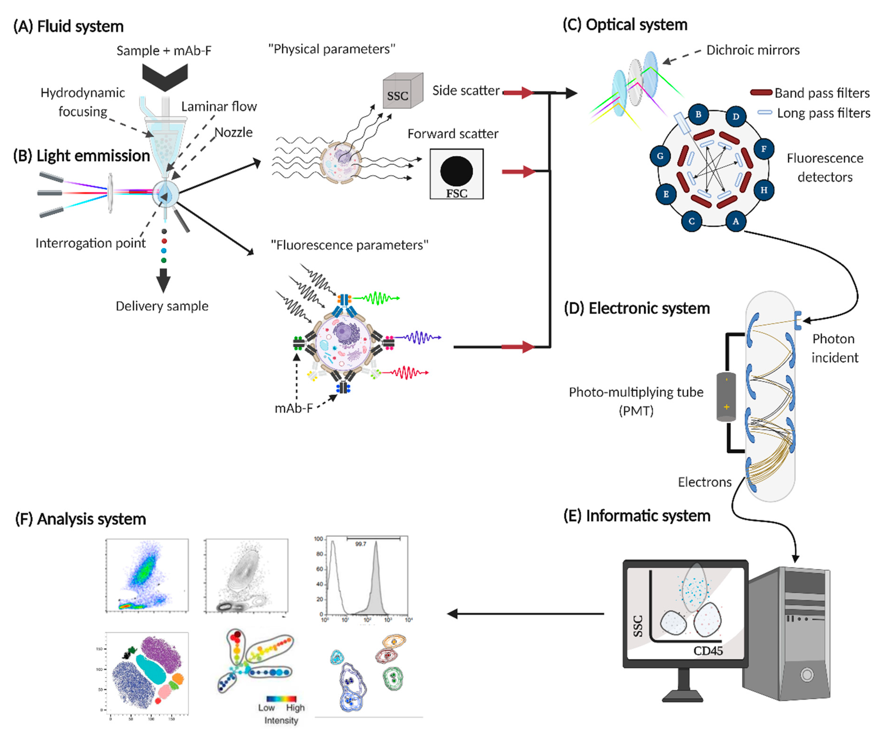 Ijms 21 08830 g002 Ijms 21 08830 g002