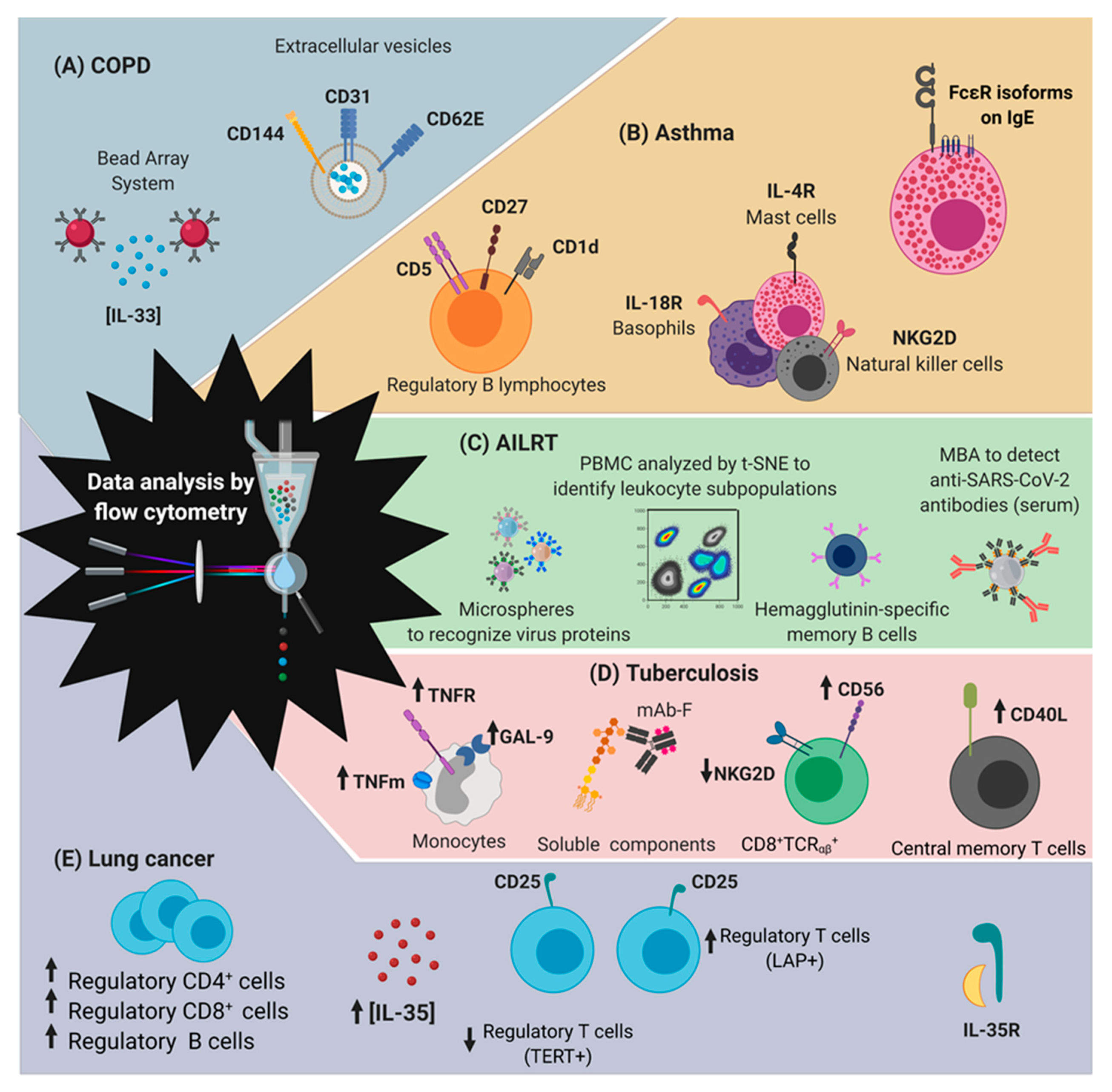 Ijms 21 08830 g004 Ijms 21 08830 g004