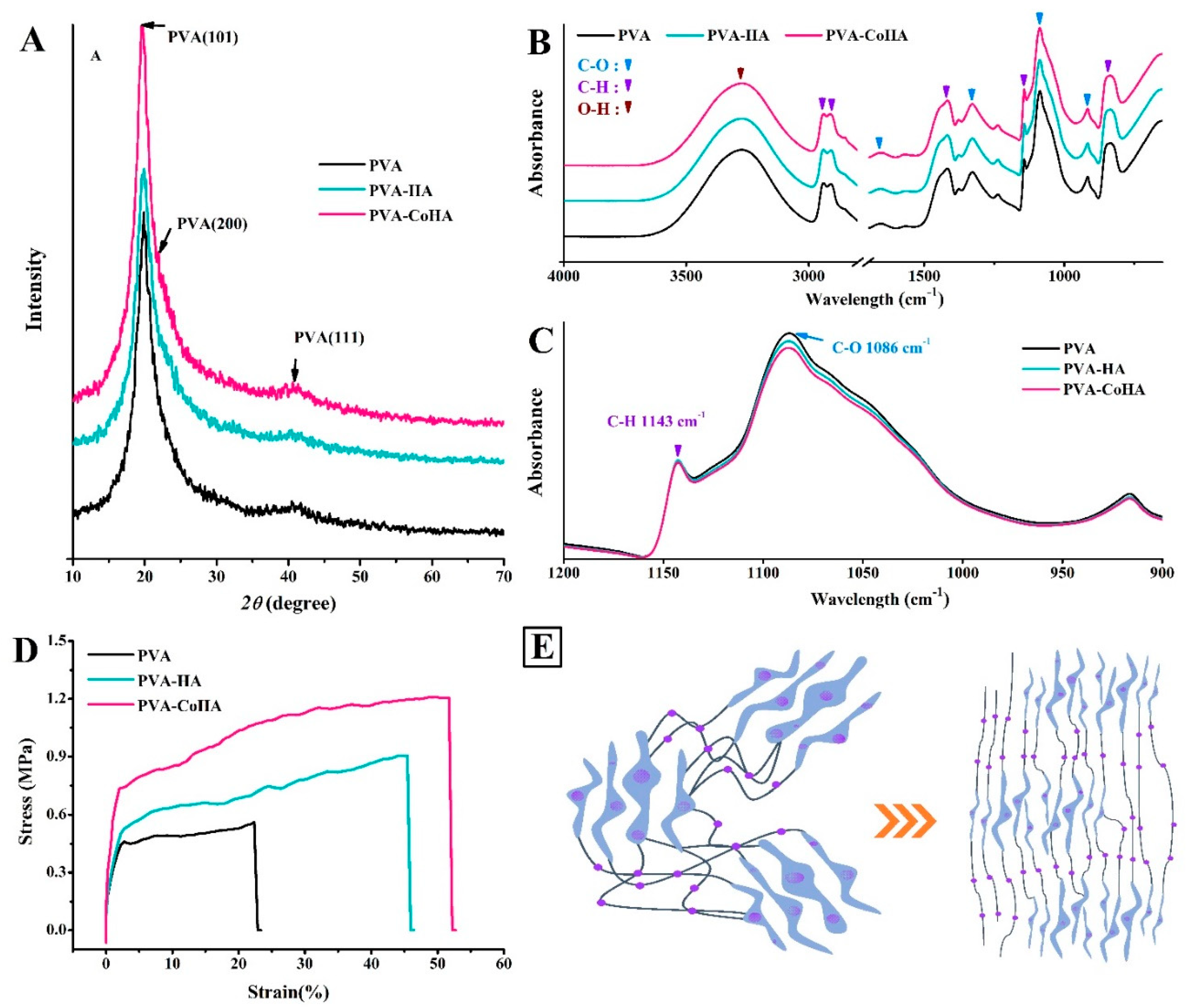 Ijms 21 08831 g003 Ijms 21 08831 g003
