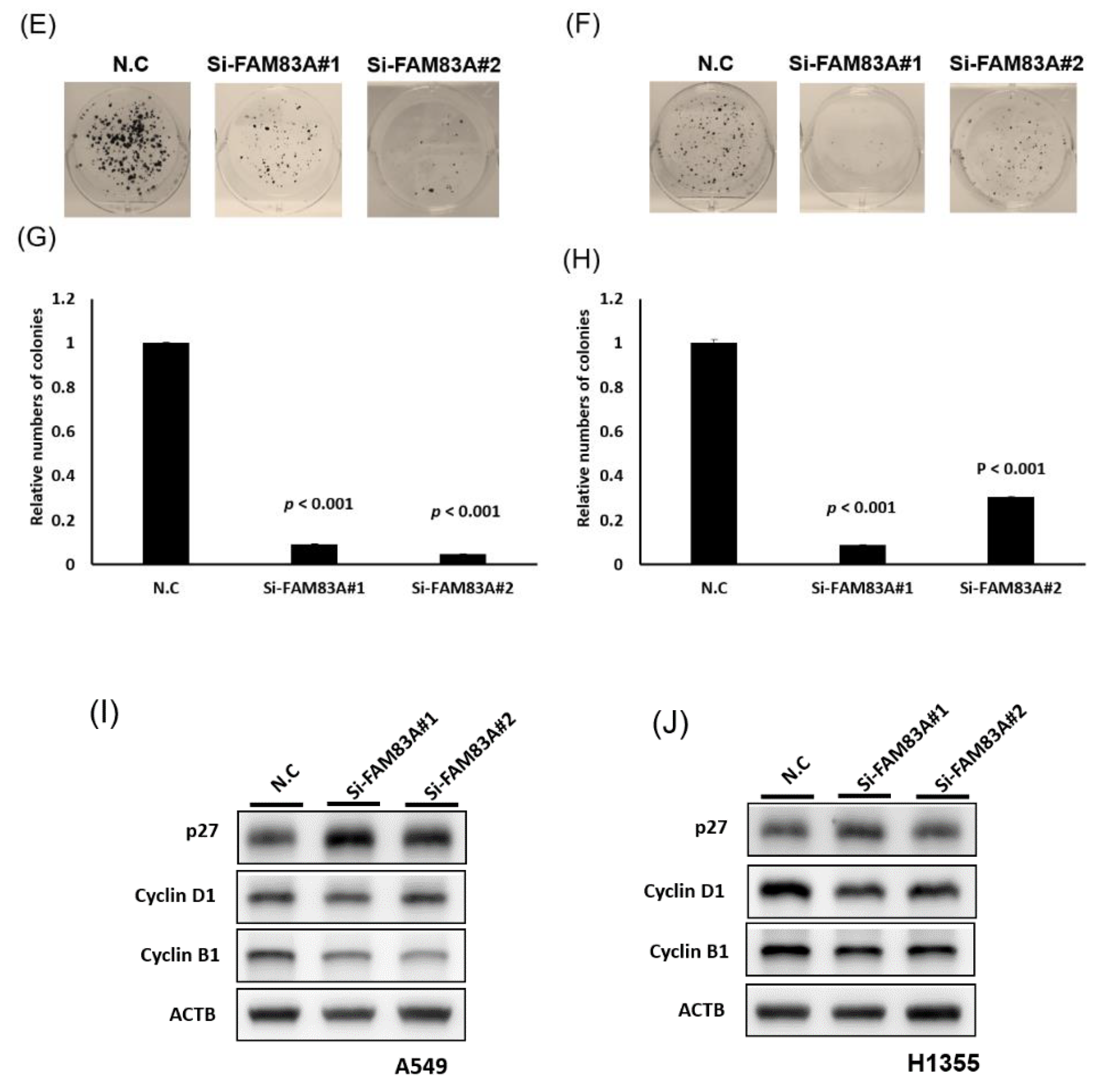 Ijms 21 08833 g003b Ijms 21 08833 g003b