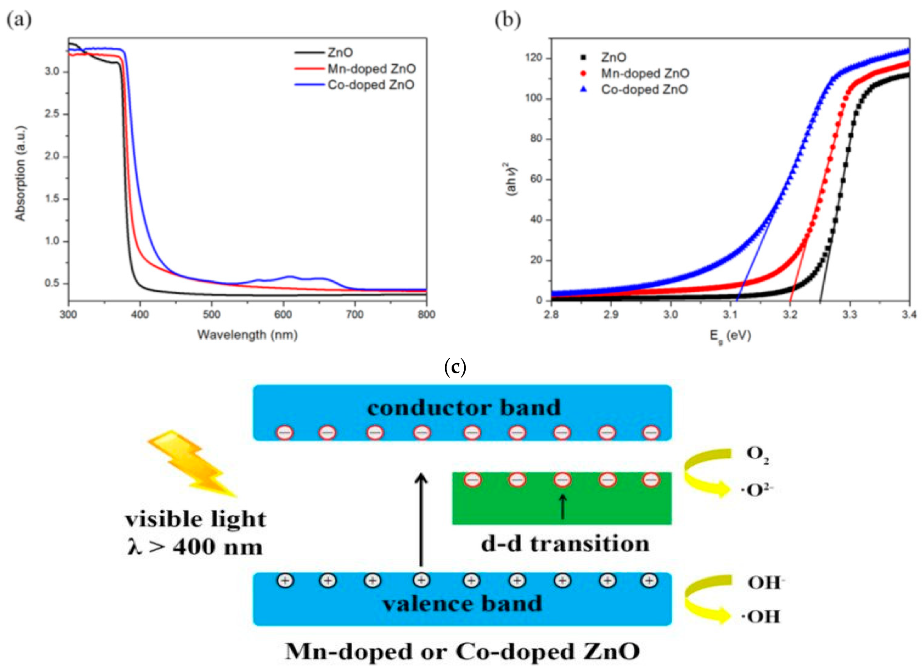 Ijms 21 08836 g003 Ijms 21 08836 g003