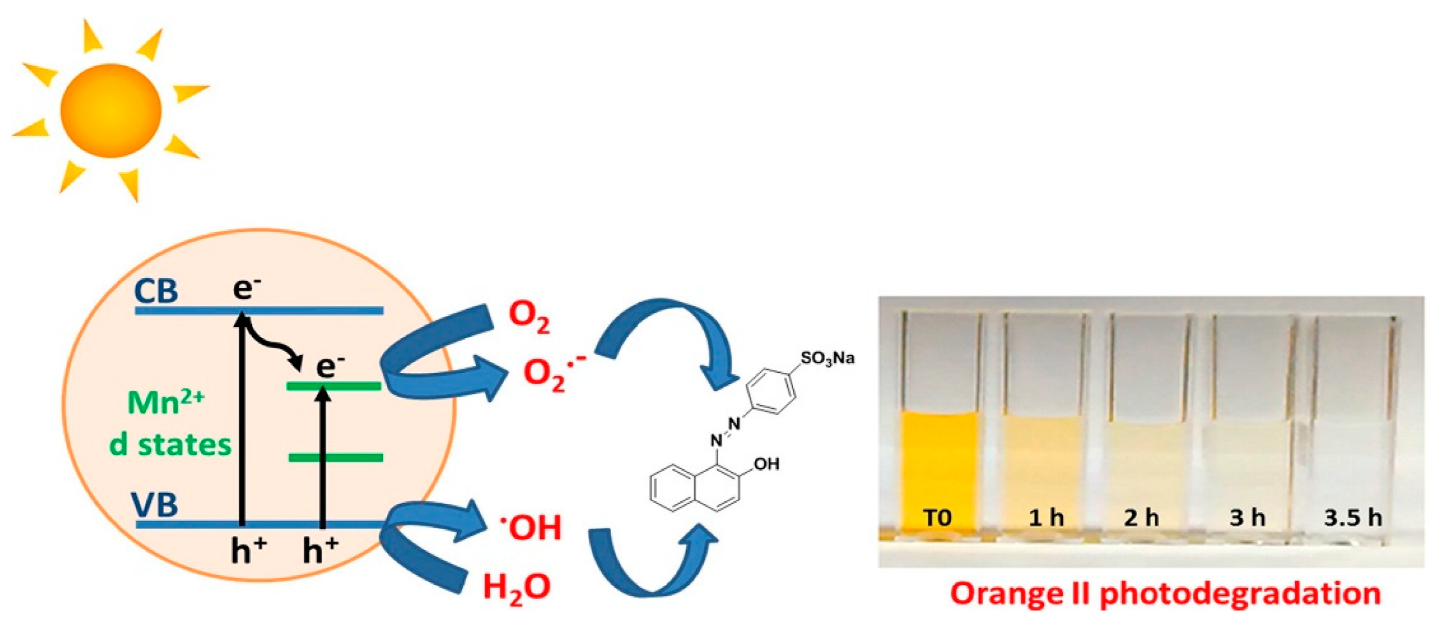 Ijms 21 08836 g004 Ijms 21 08836 g004