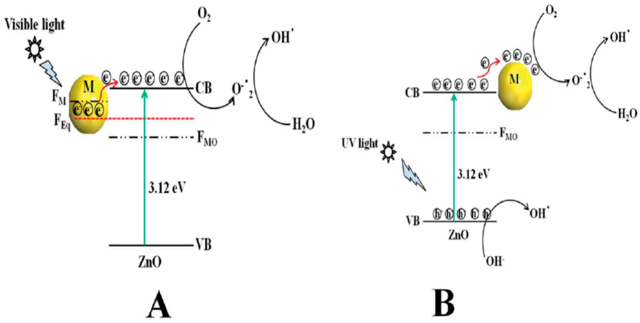 Ijms 21 08836 g005 Ijms 21 08836 g005