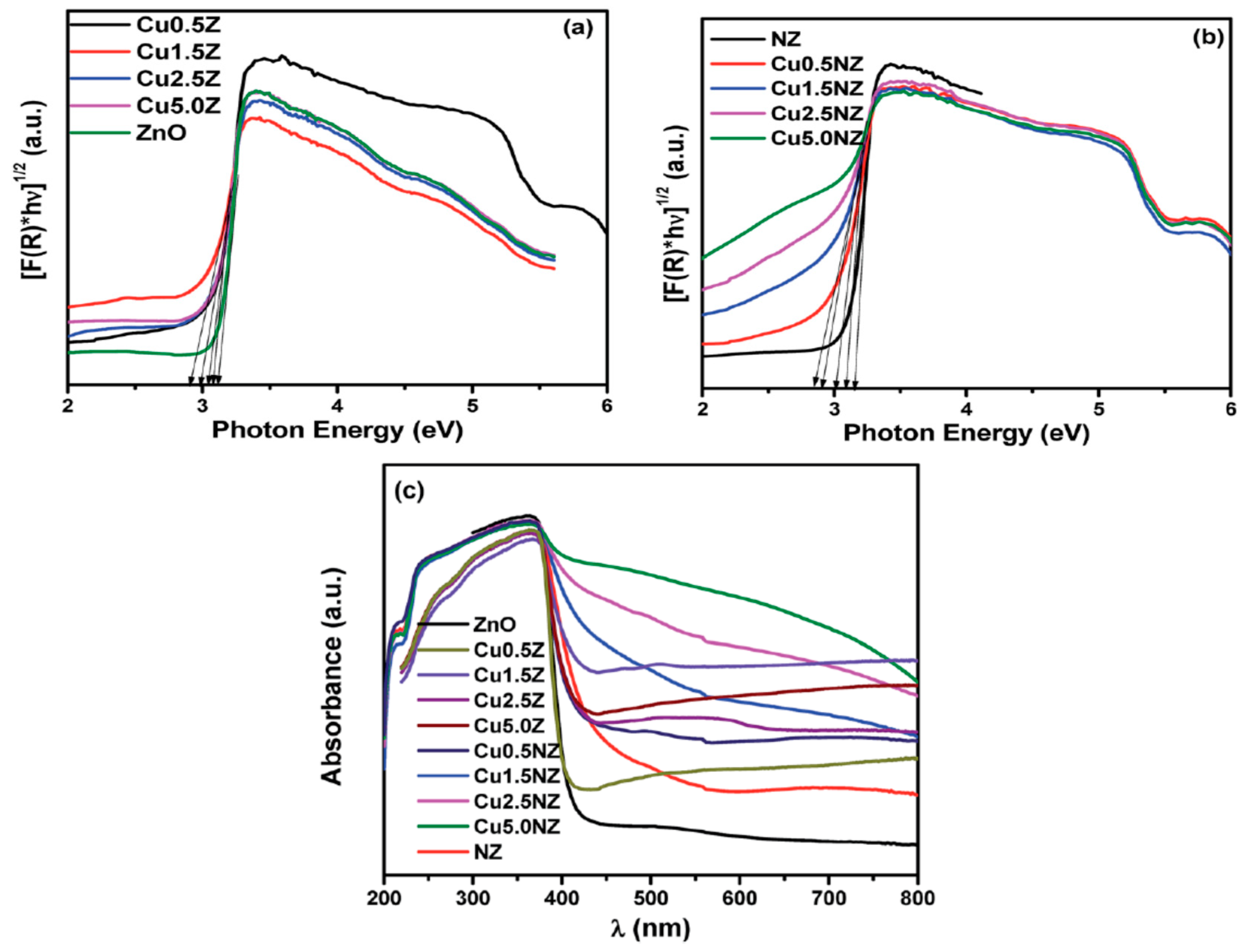 Ijms 21 08836 g006 Ijms 21 08836 g006