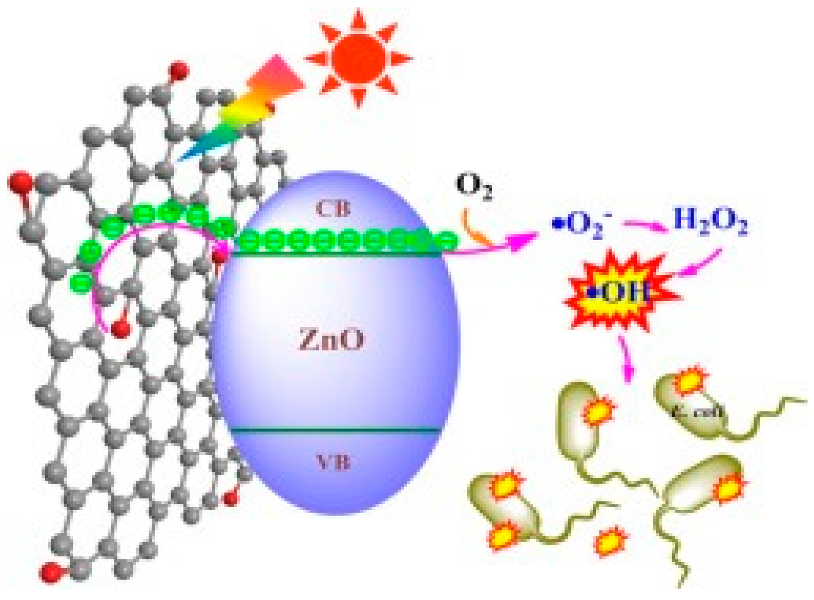 Ijms 21 08836 g008 Ijms 21 08836 g008