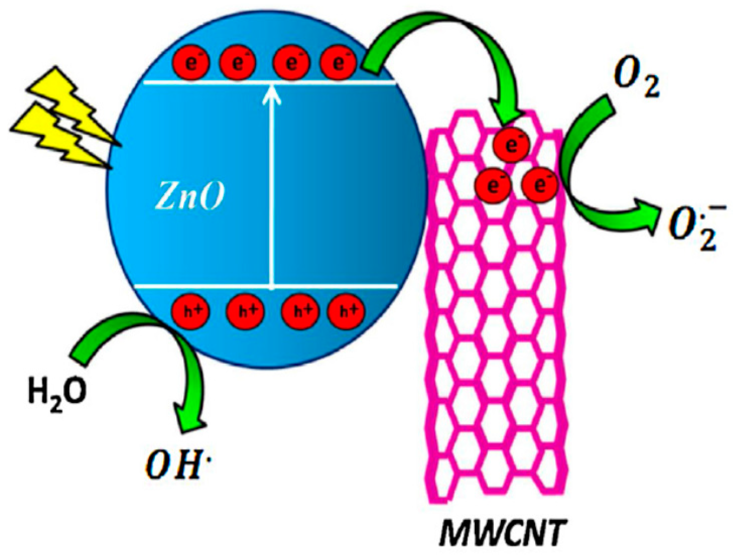 Ijms 21 08836 g009 Ijms 21 08836 g009