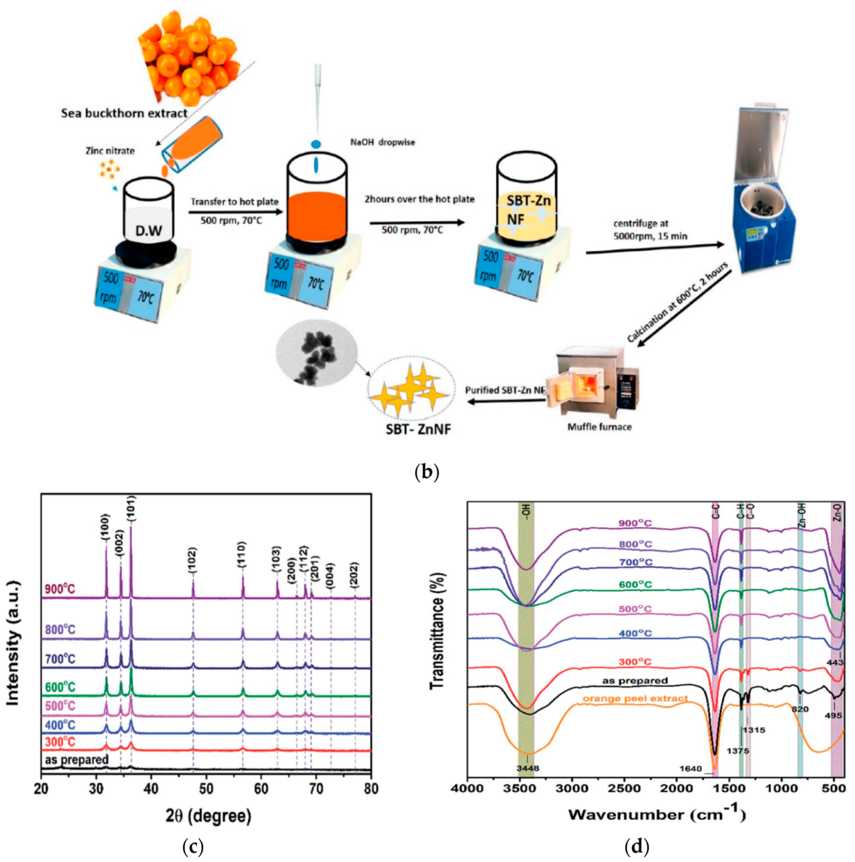Ijms 21 08836 g014b Ijms 21 08836 g014b