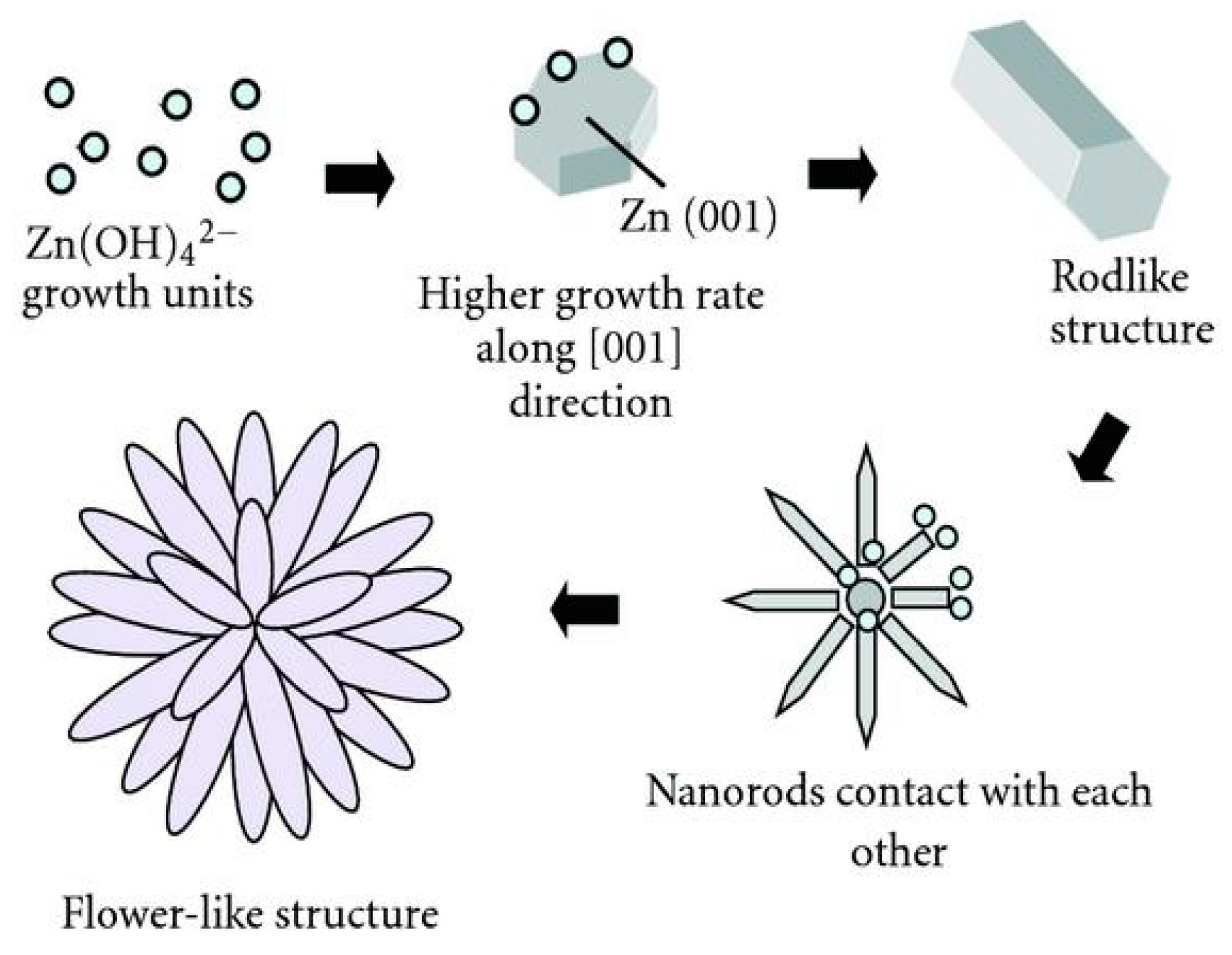 Ijms 21 08836 g018 Ijms 21 08836 g018