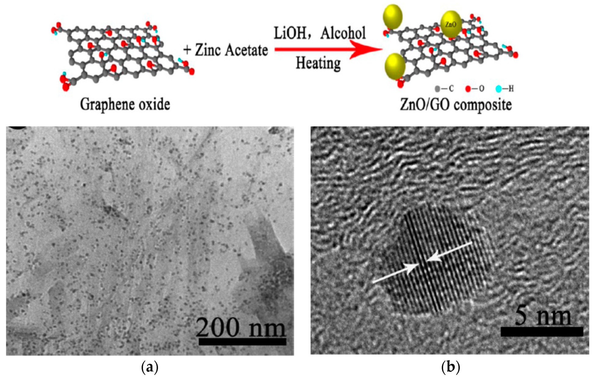 Ijms 21 08836 g021 Ijms 21 08836 g021