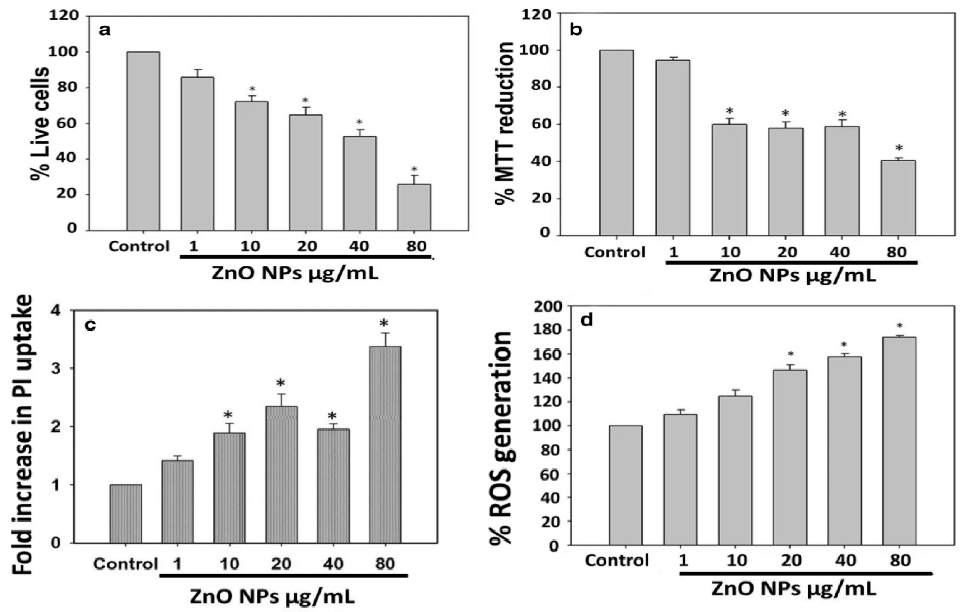 Ijms 21 08836 g024 Ijms 21 08836 g024