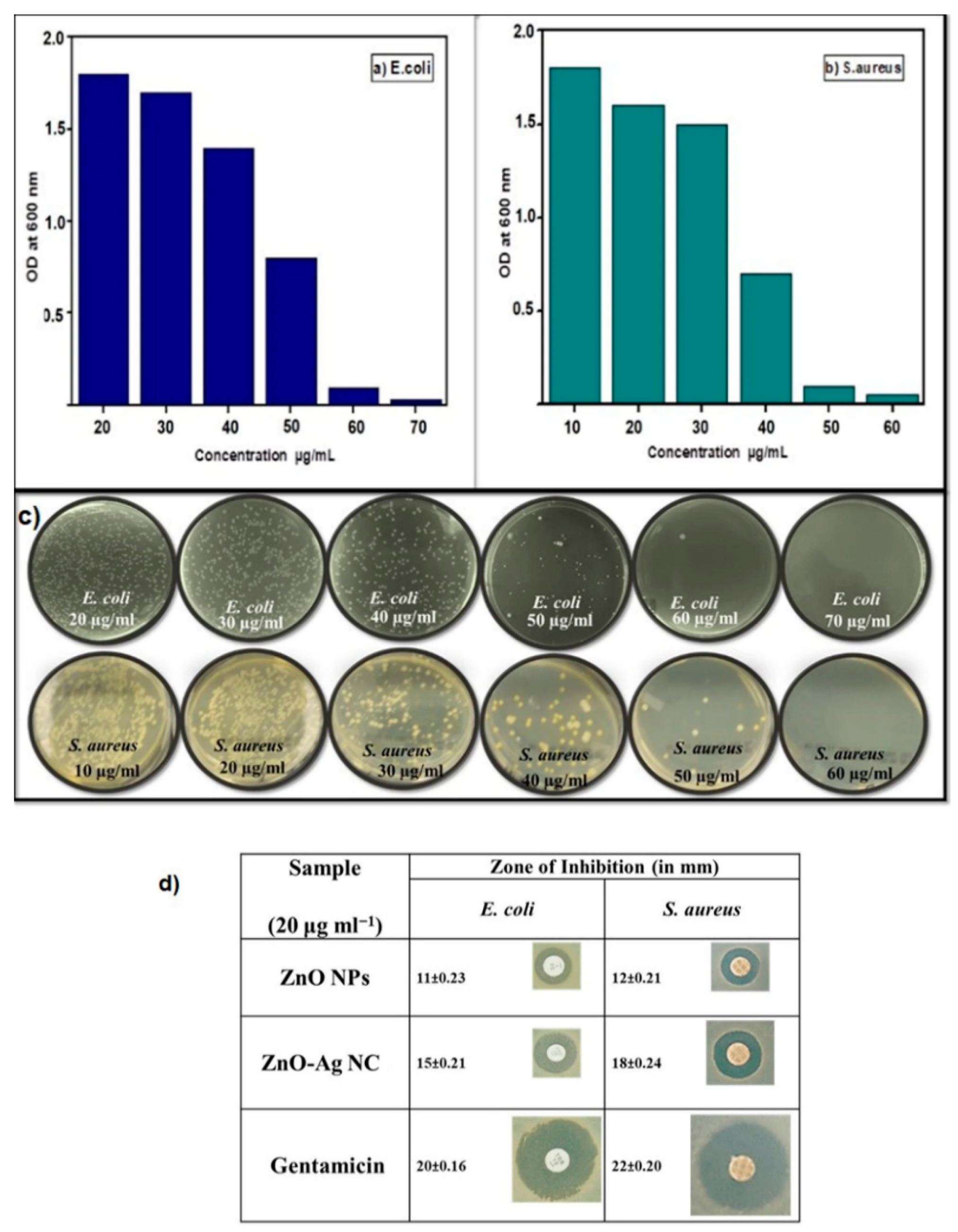 Ijms 21 08836 g027 Ijms 21 08836 g027