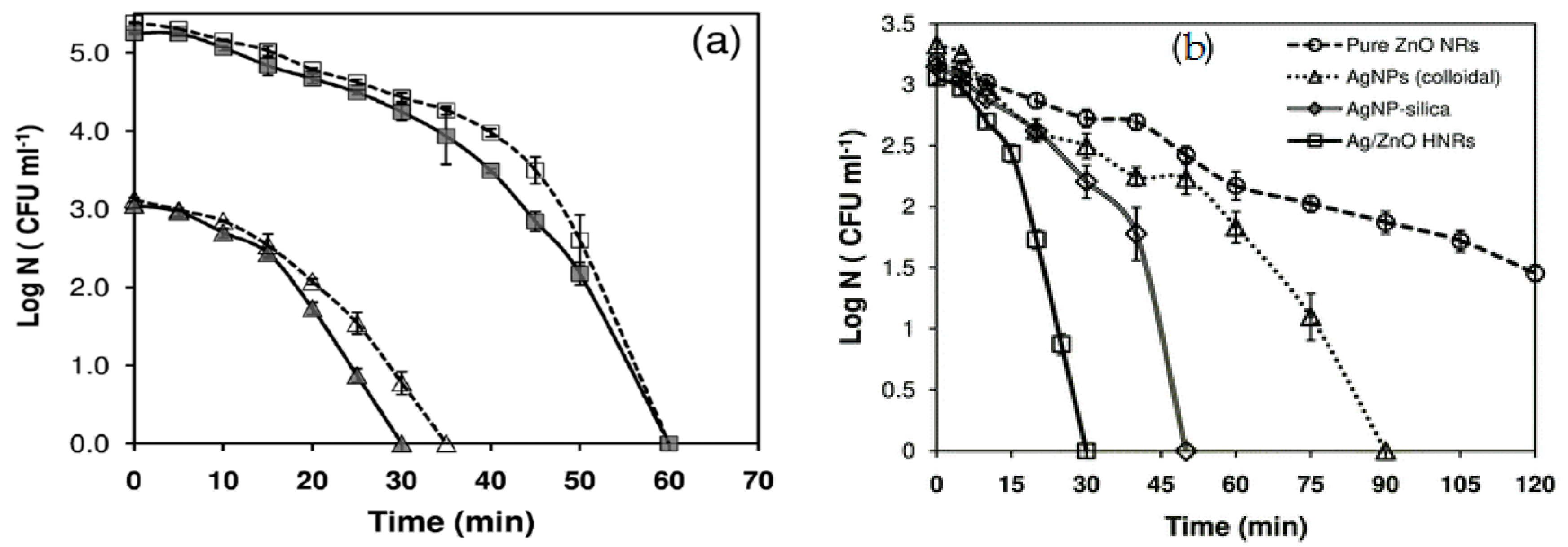 Ijms 21 08836 g030 Ijms 21 08836 g030