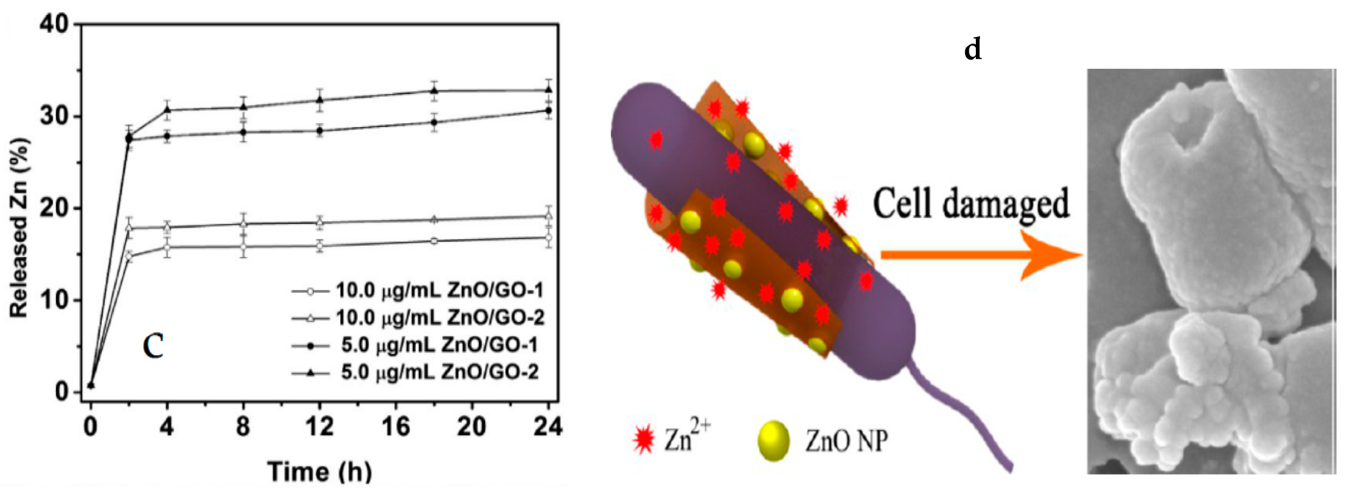 Ijms 21 08836 g033b Ijms 21 08836 g033b