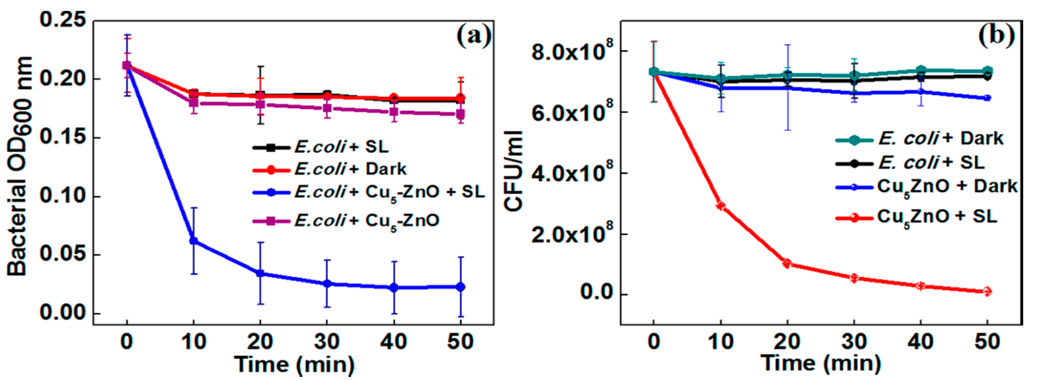 Ijms 21 08836 g036 Ijms 21 08836 g036