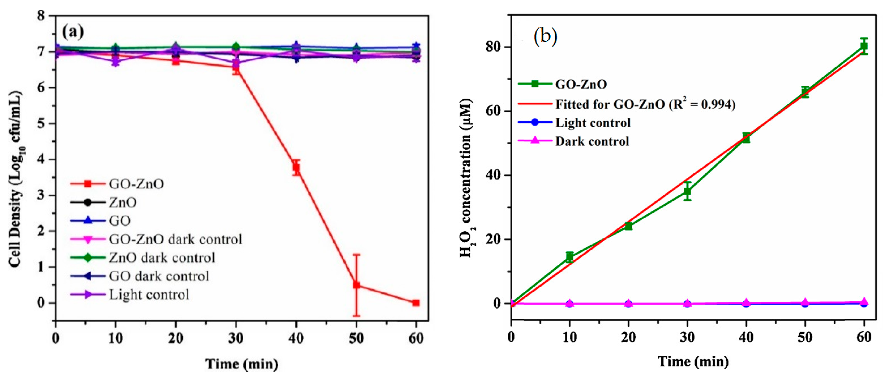Ijms 21 08836 g043 Ijms 21 08836 g043