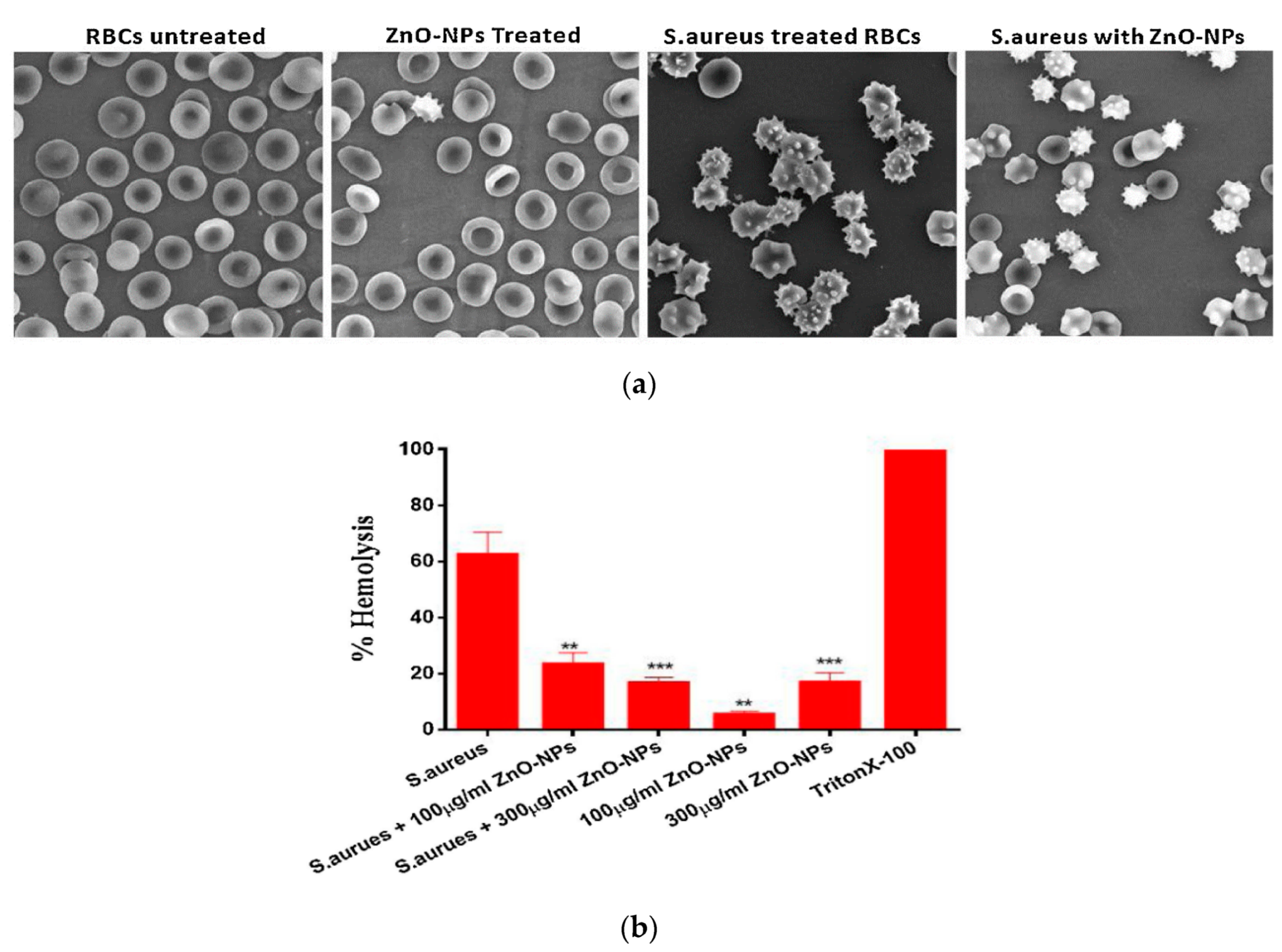 Ijms 21 08836 g048 Ijms 21 08836 g048