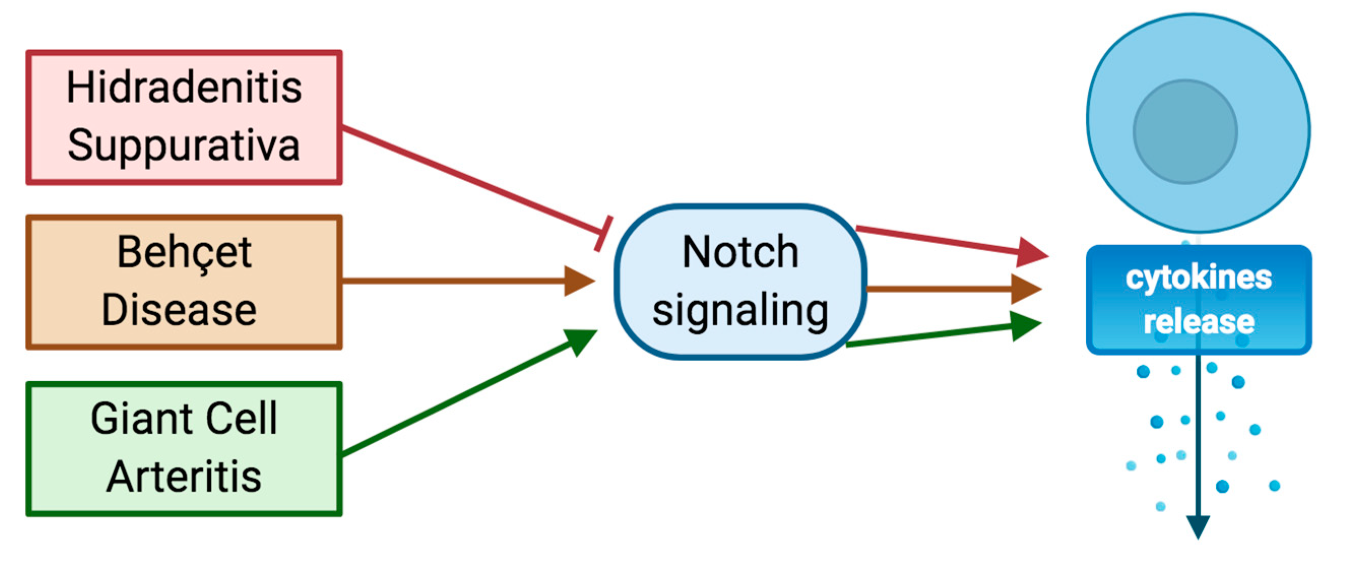 Ijms 21 08847 g003 Ijms 21 08847 g003