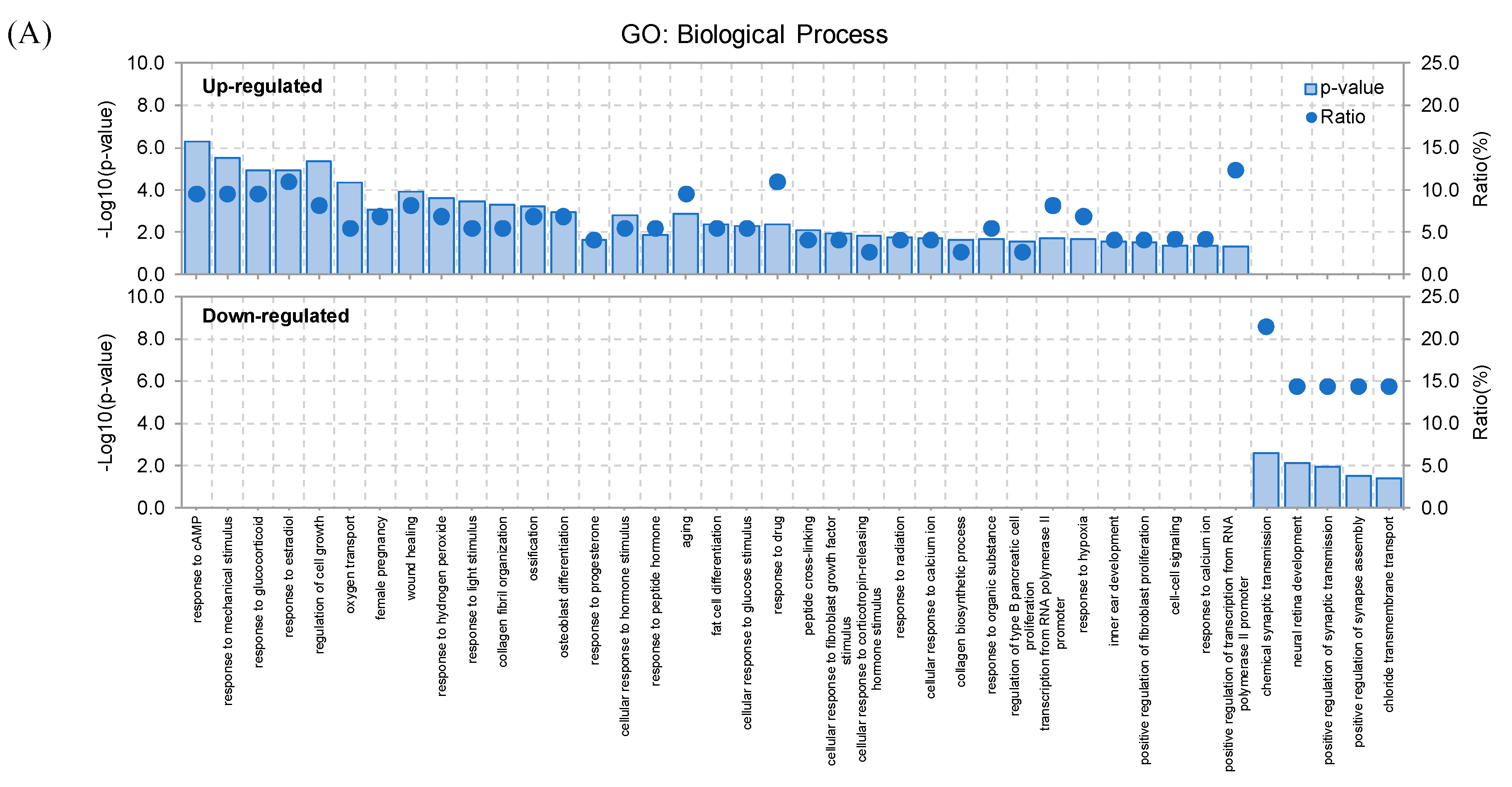 Ijms 21 08856 g003a Ijms 21 08856 g003a
