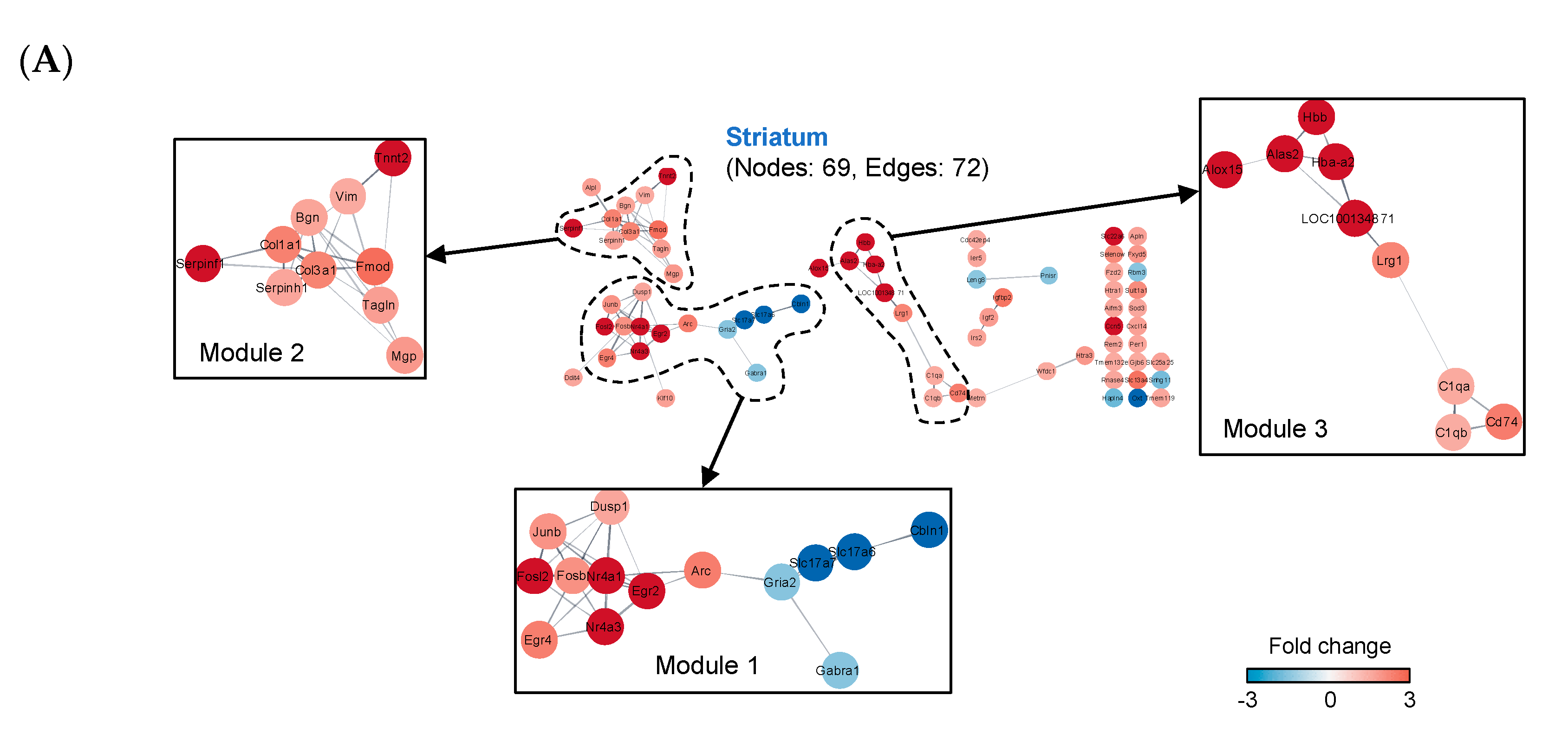 Ijms 21 08856 g004a Ijms 21 08856 g004a