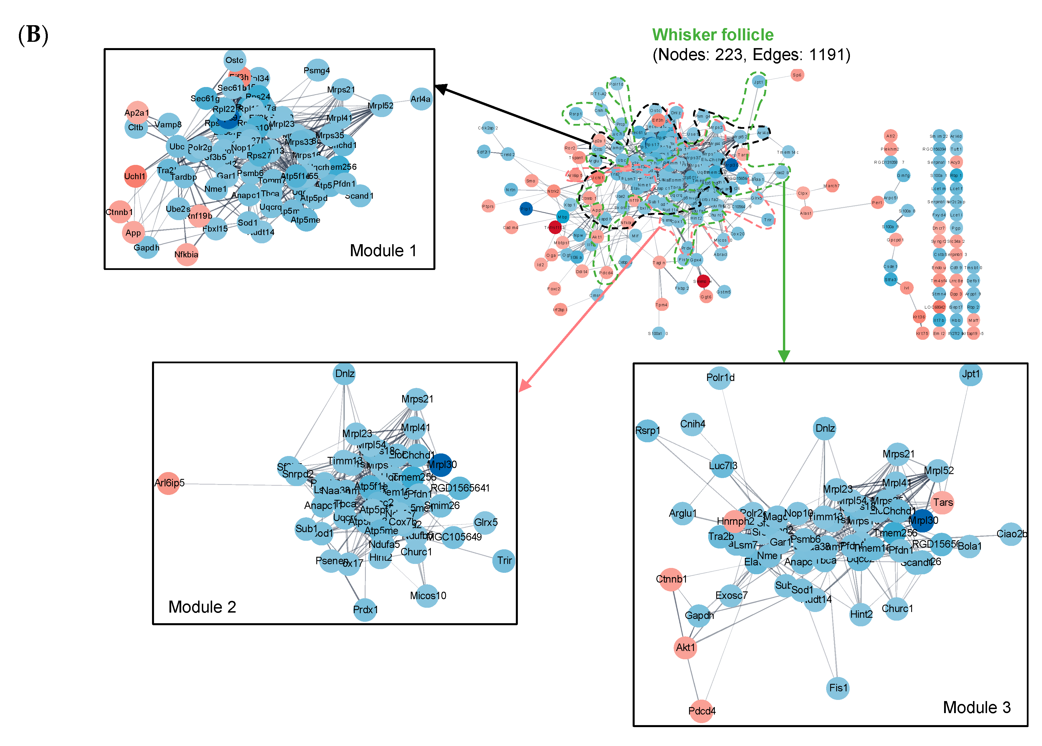 Ijms 21 08856 g004b Ijms 21 08856 g004b