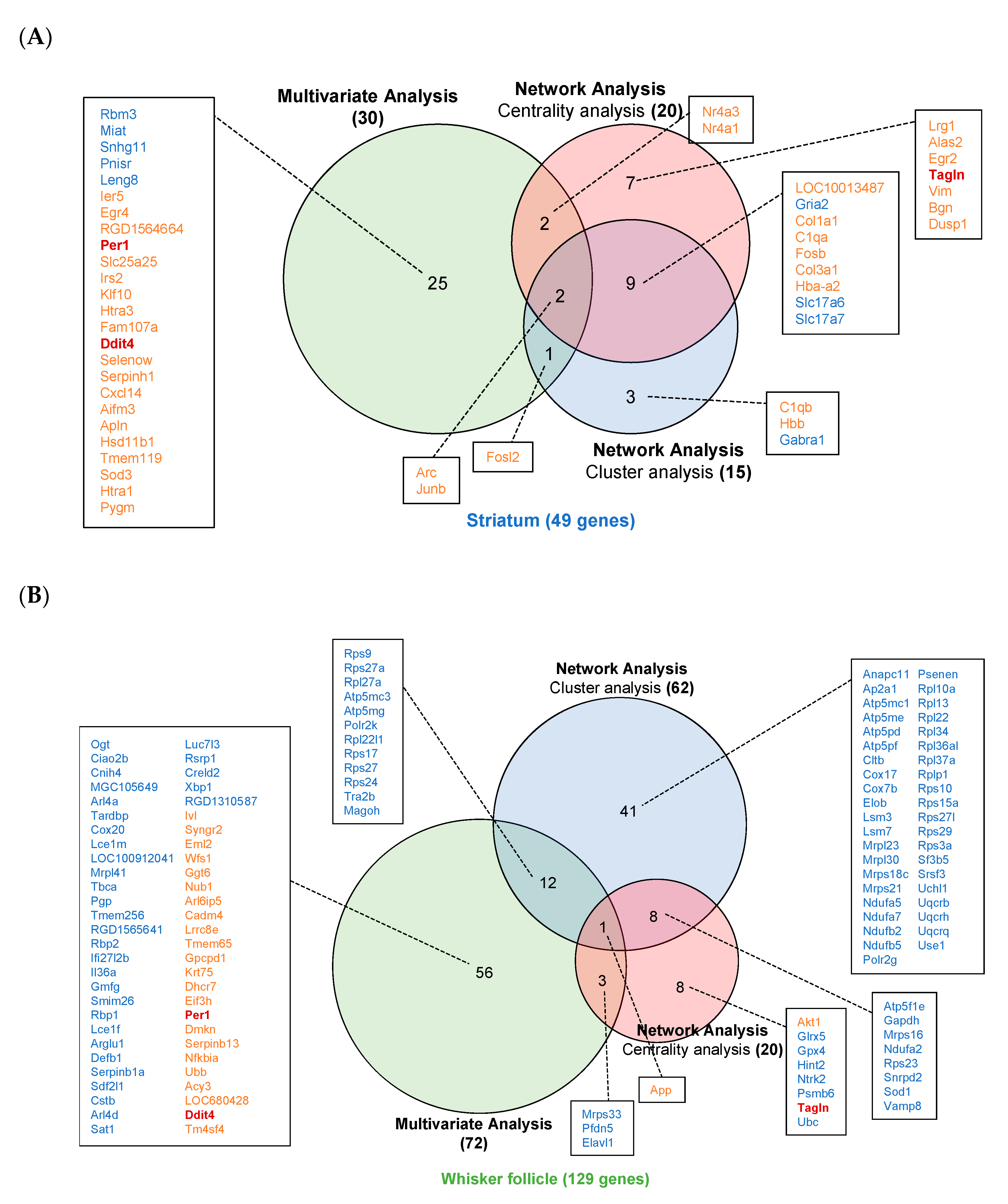 Ijms 21 08856 g007 Ijms 21 08856 g007