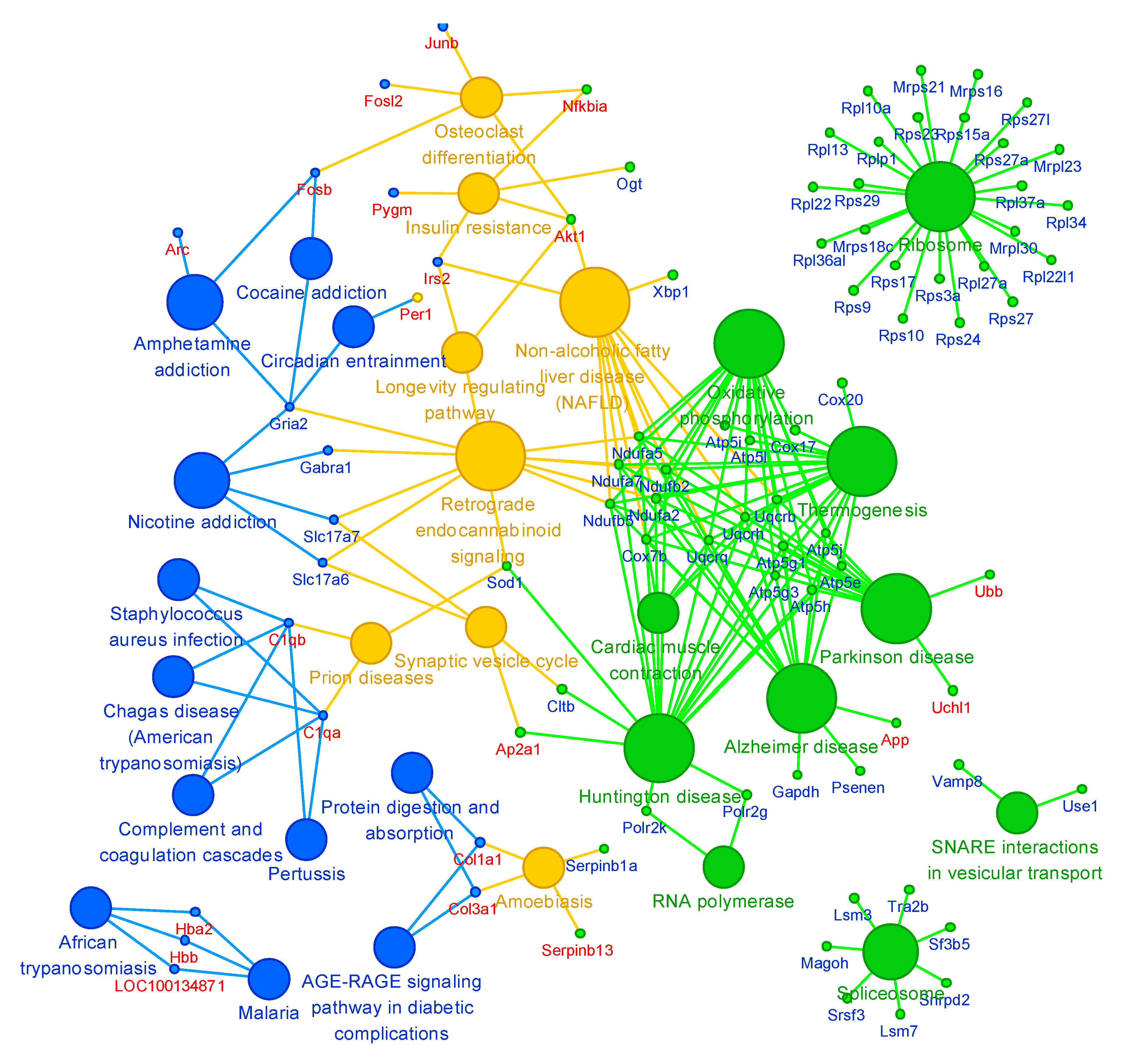 Ijms 21 08856 g008 Ijms 21 08856 g008