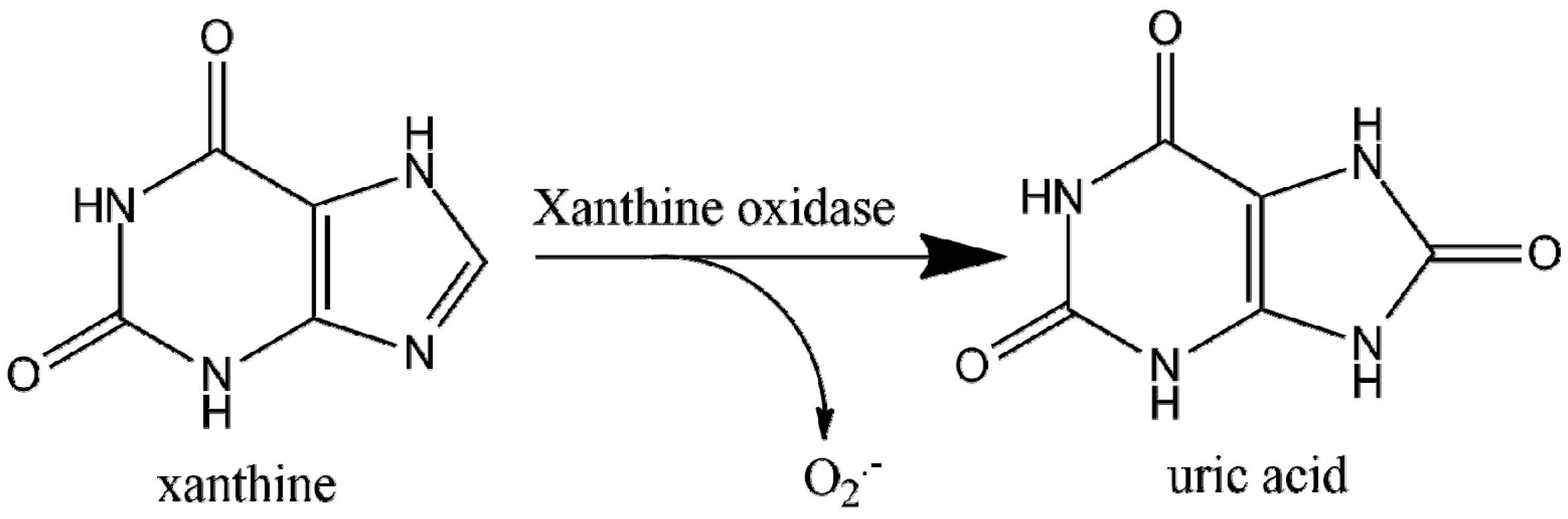 Ijms 21 08862 sch001