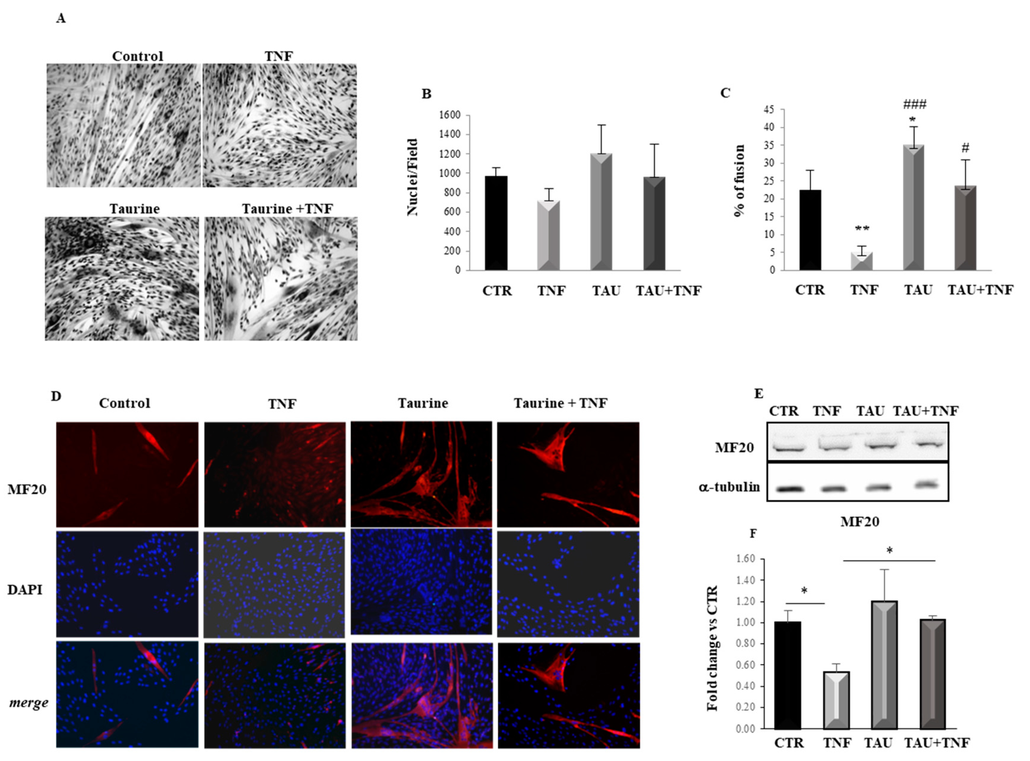 Ijms 21 08865 g001 Ijms 21 08865 g001