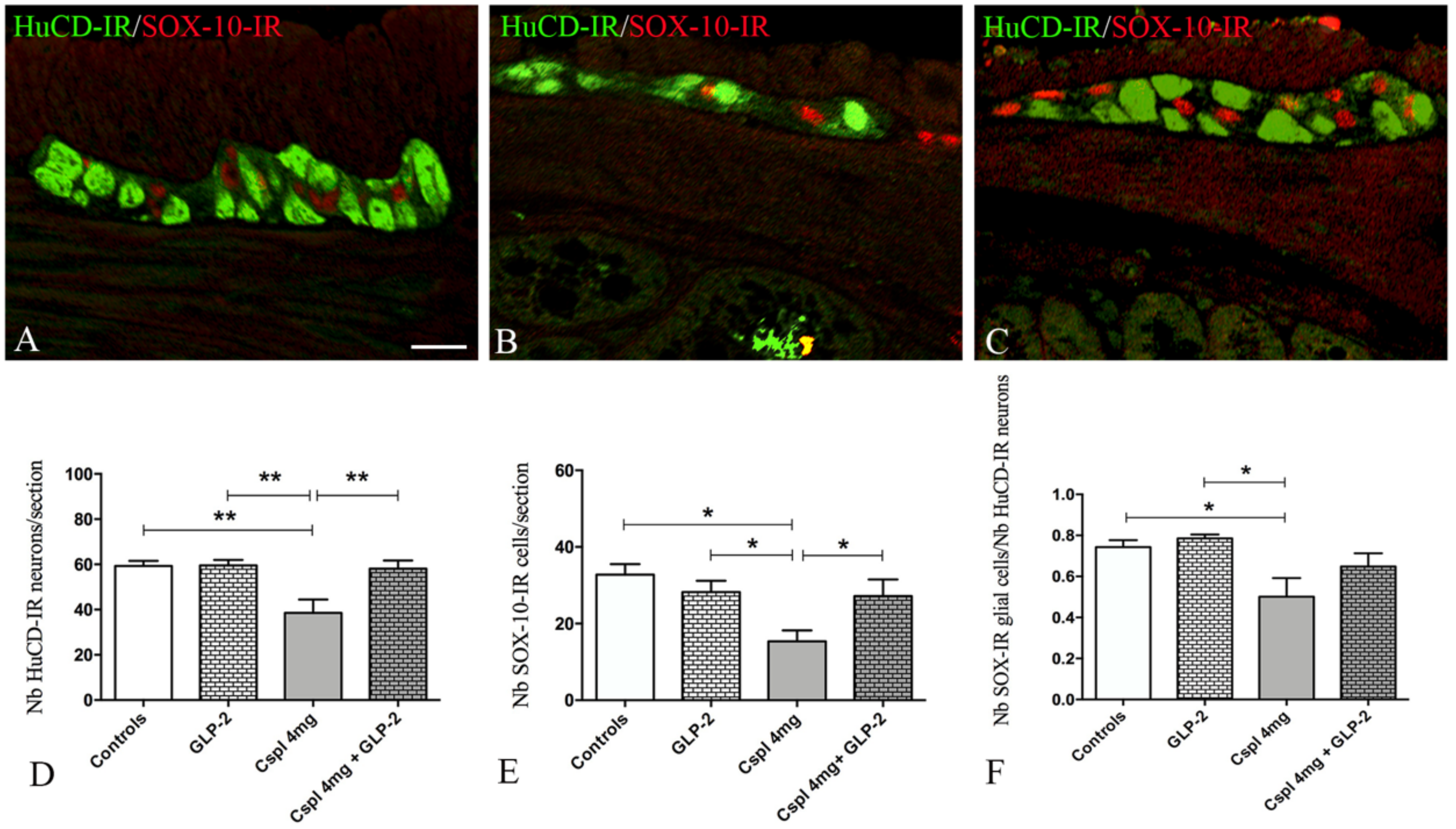 Ijms 21 08875 g005 Ijms 21 08875 g005