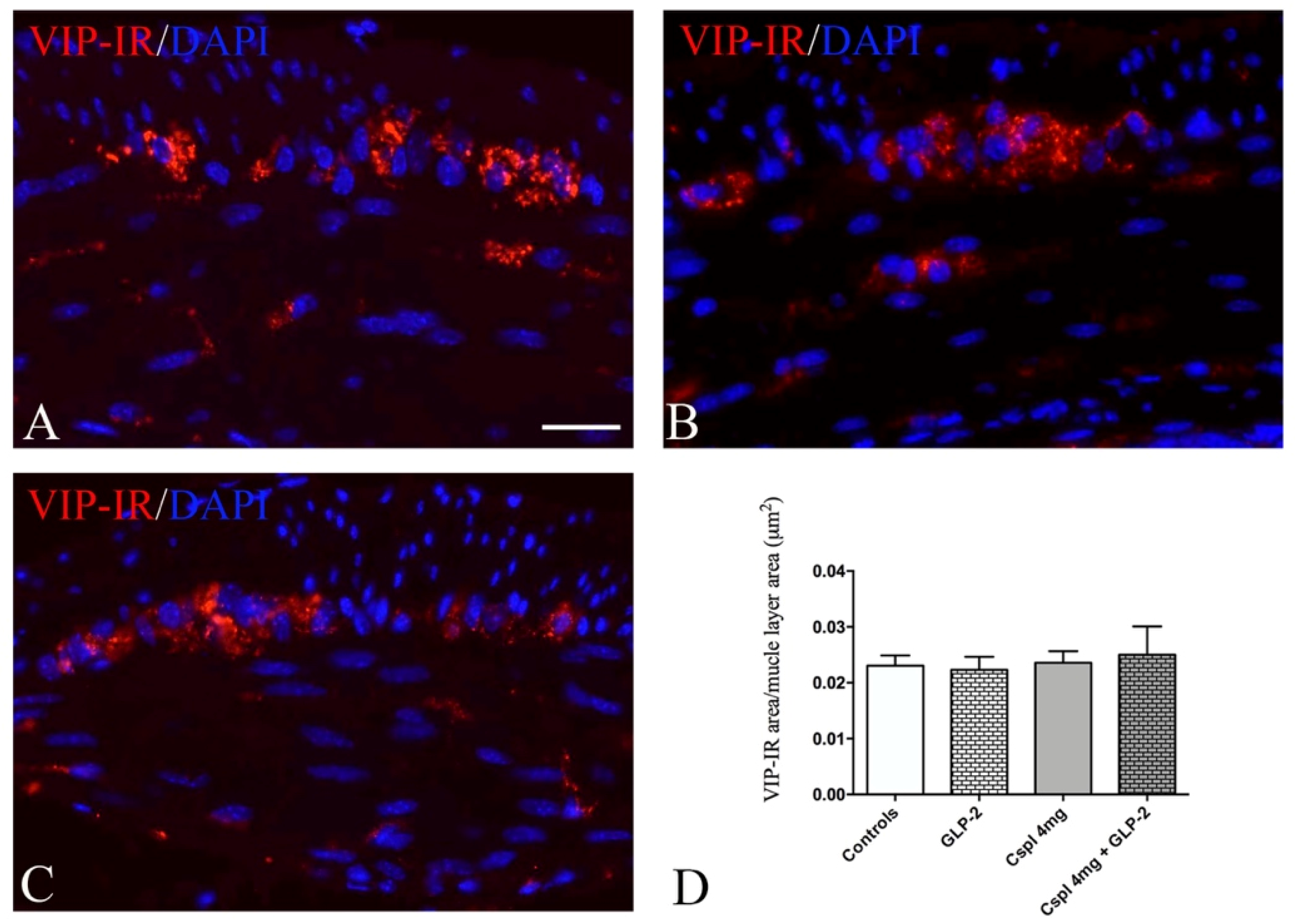 Ijms 21 08875 g008 Ijms 21 08875 g008