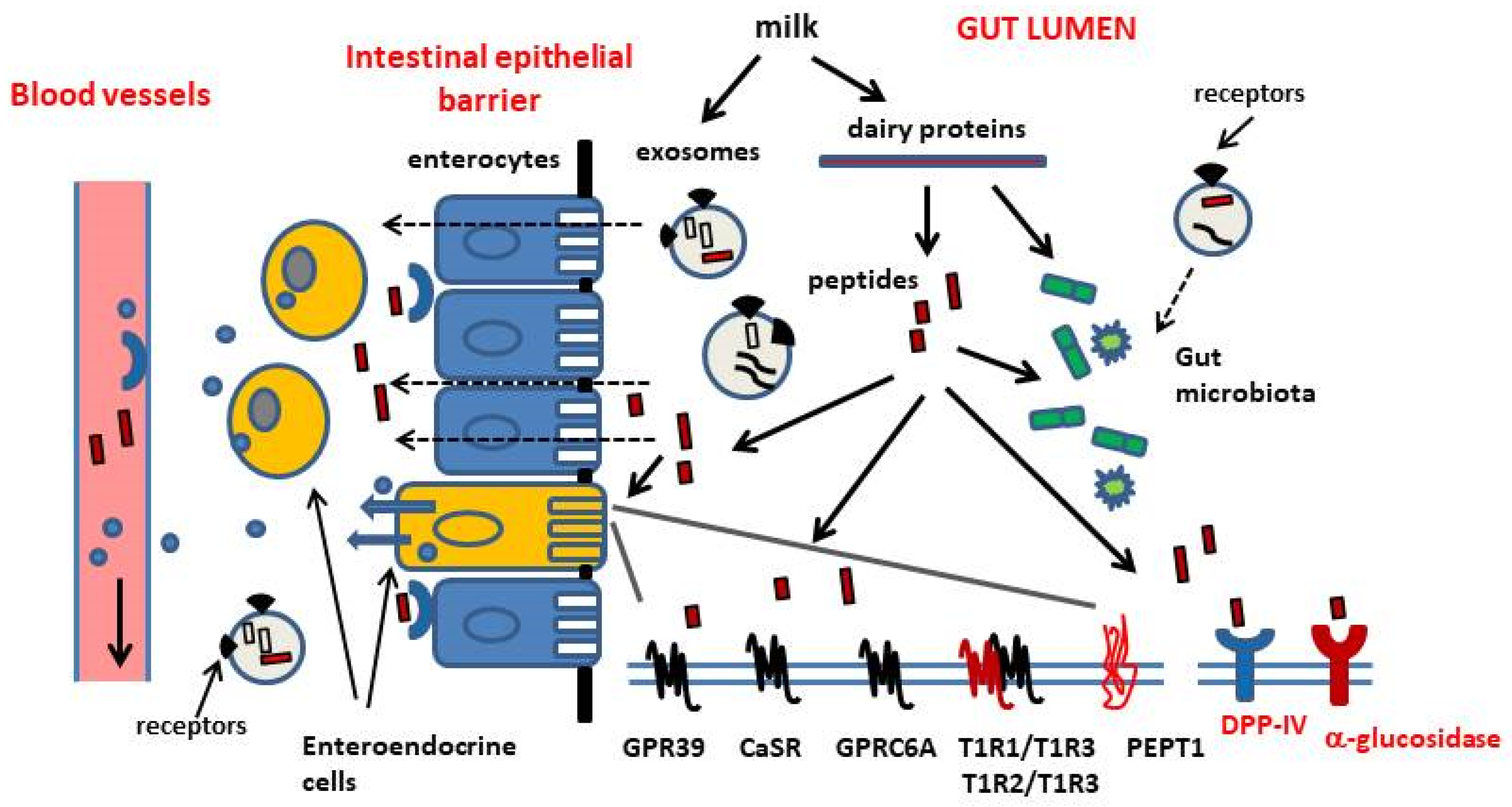 Ijms 21 08881 g001 Ijms 21 08881 g001