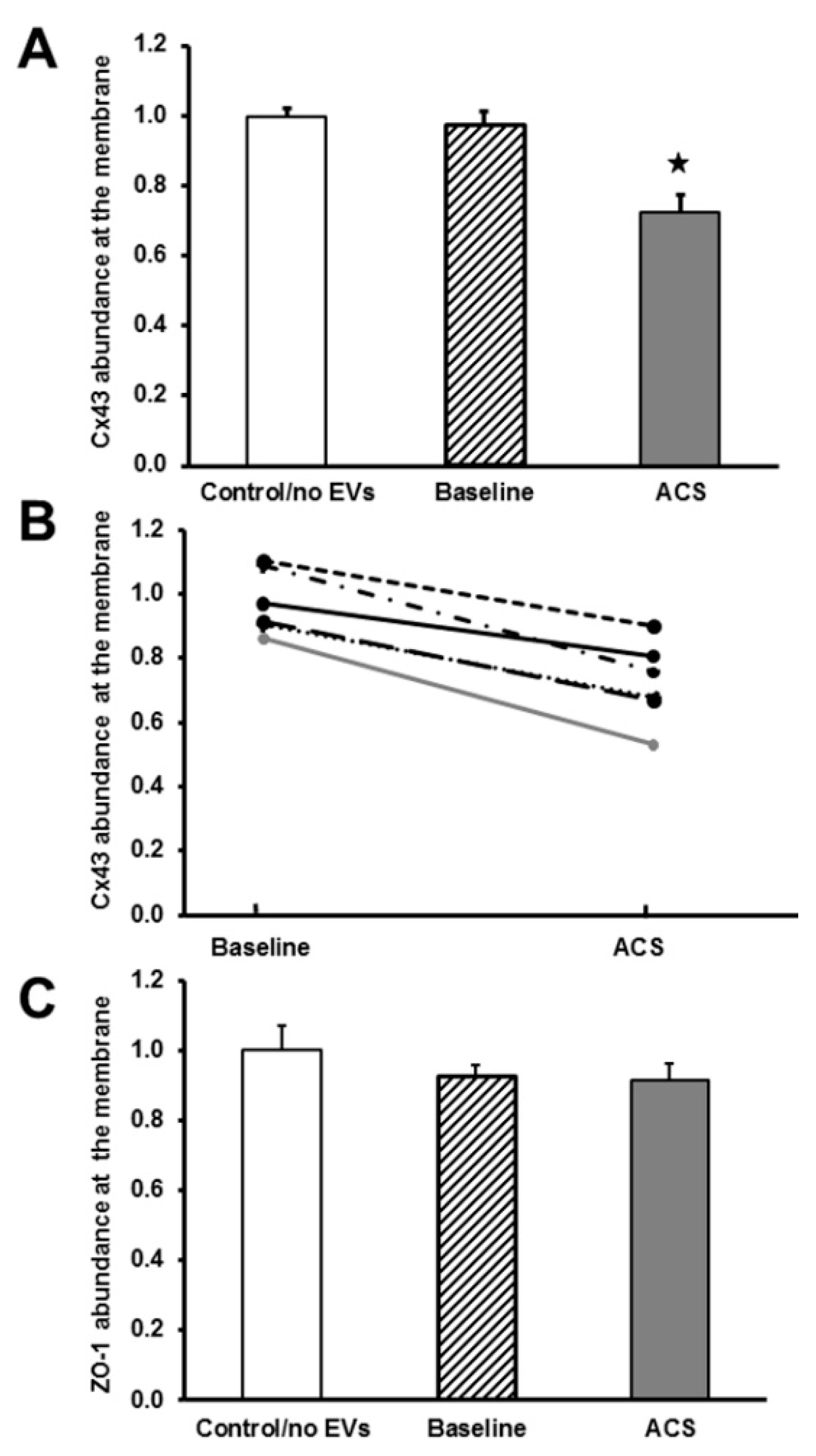 Ijms 21 08884 g003 Ijms 21 08884 g003