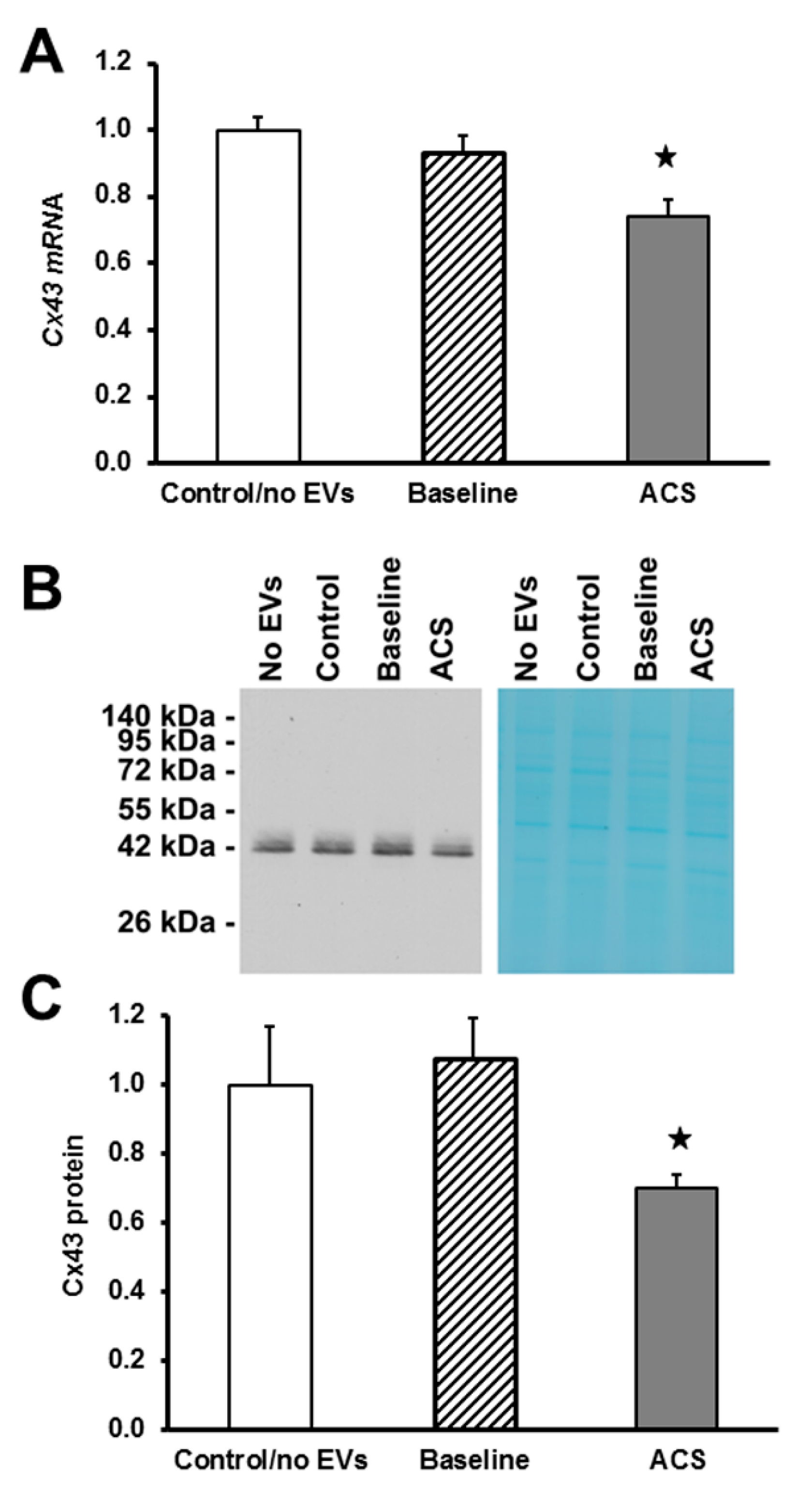 Ijms 21 08884 g005 Ijms 21 08884 g005